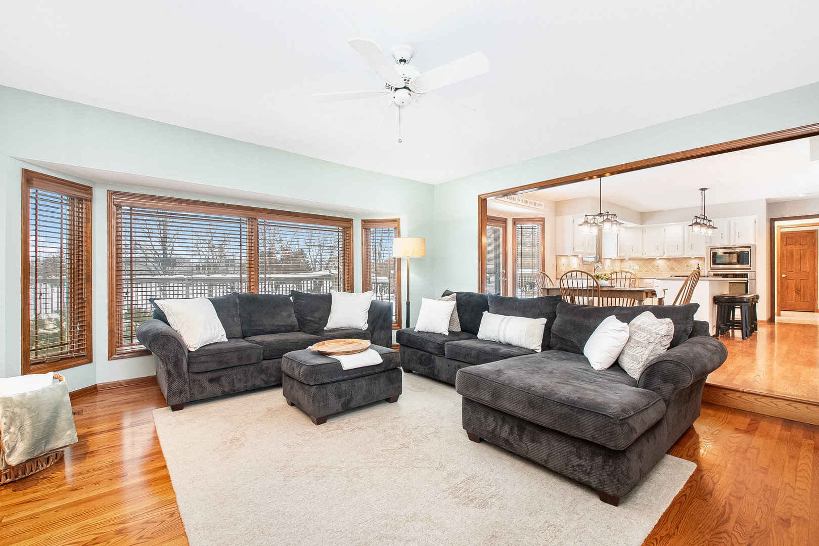 23811 W Deer Chase Lane