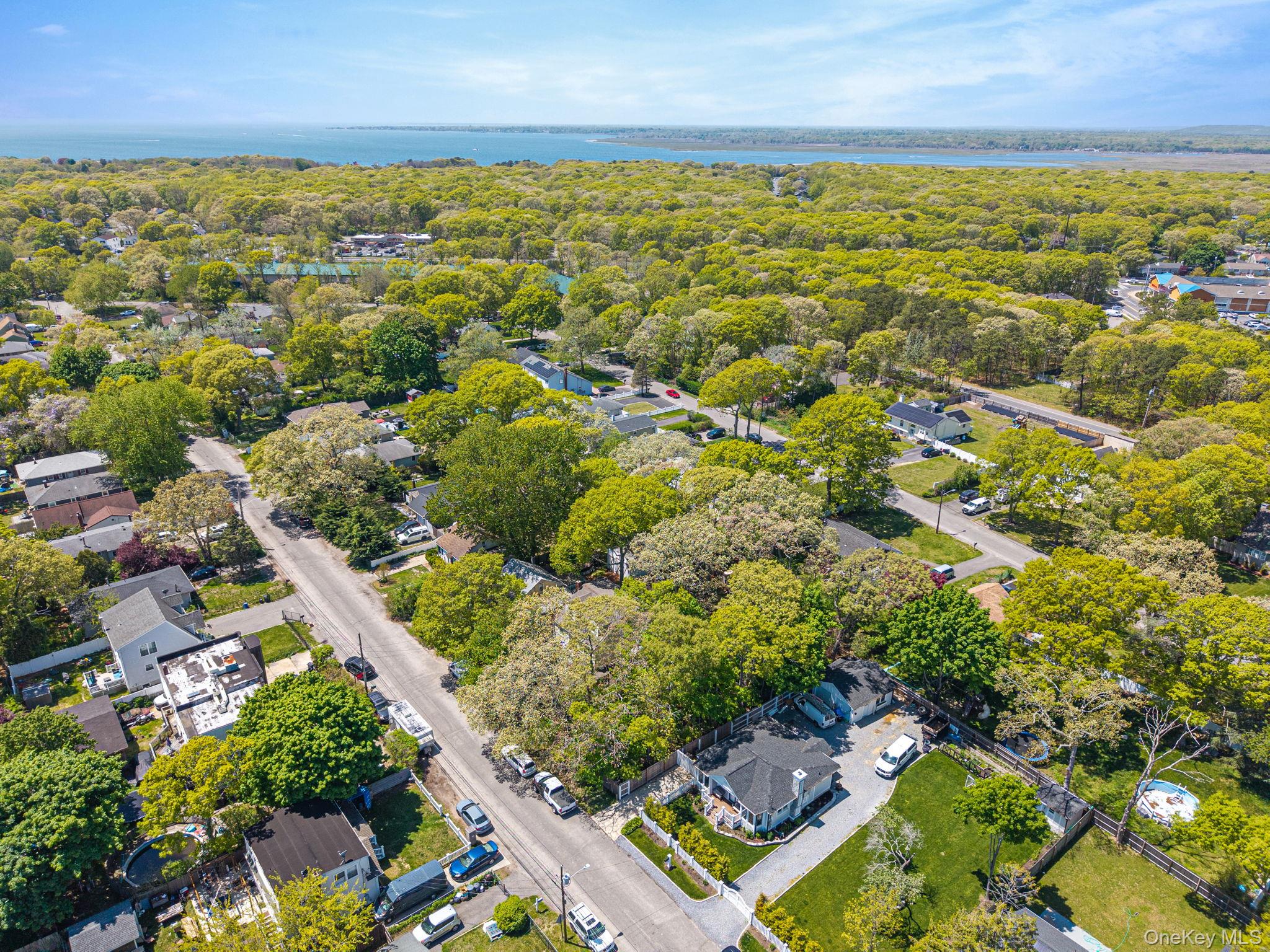 46 Brushwood Drive