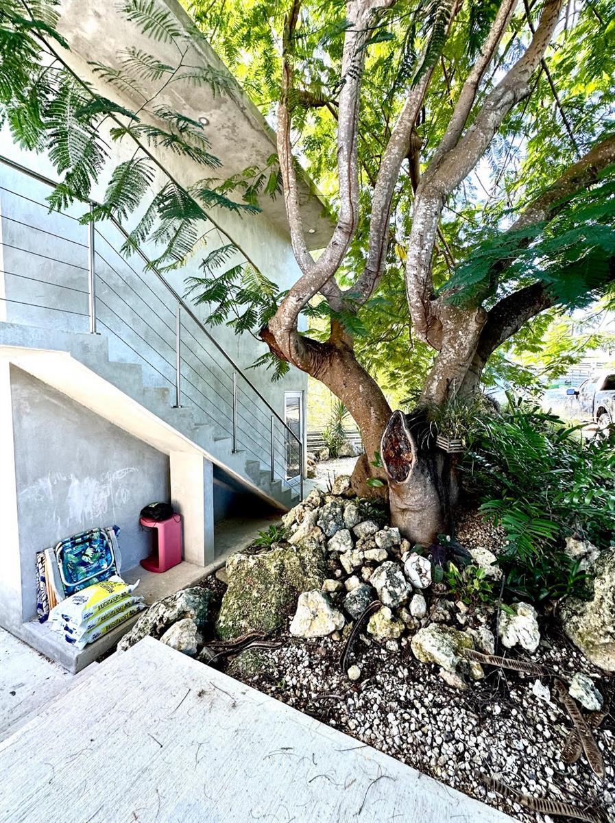 413 SOLAR C BO. PUNTAS RINCON