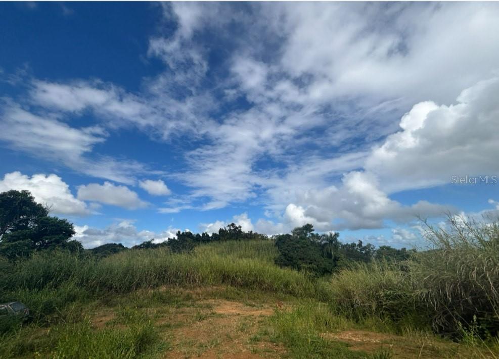 945 BARRIO MASAS WARD