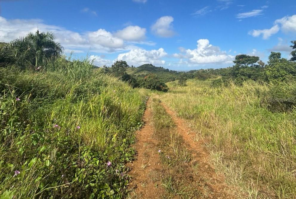 945 BARRIO MASAS WARD