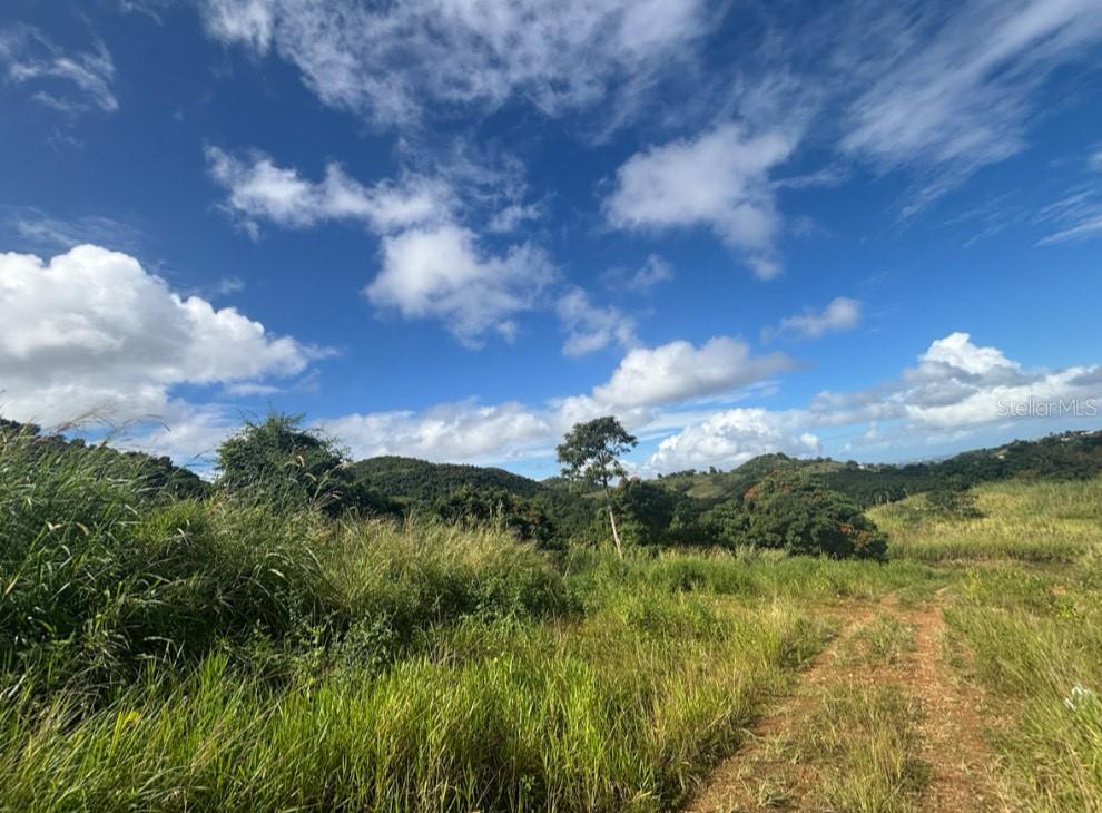 945 BARRIO MASAS WARD