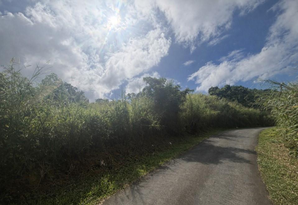 945 BARRIO MASAS WARD