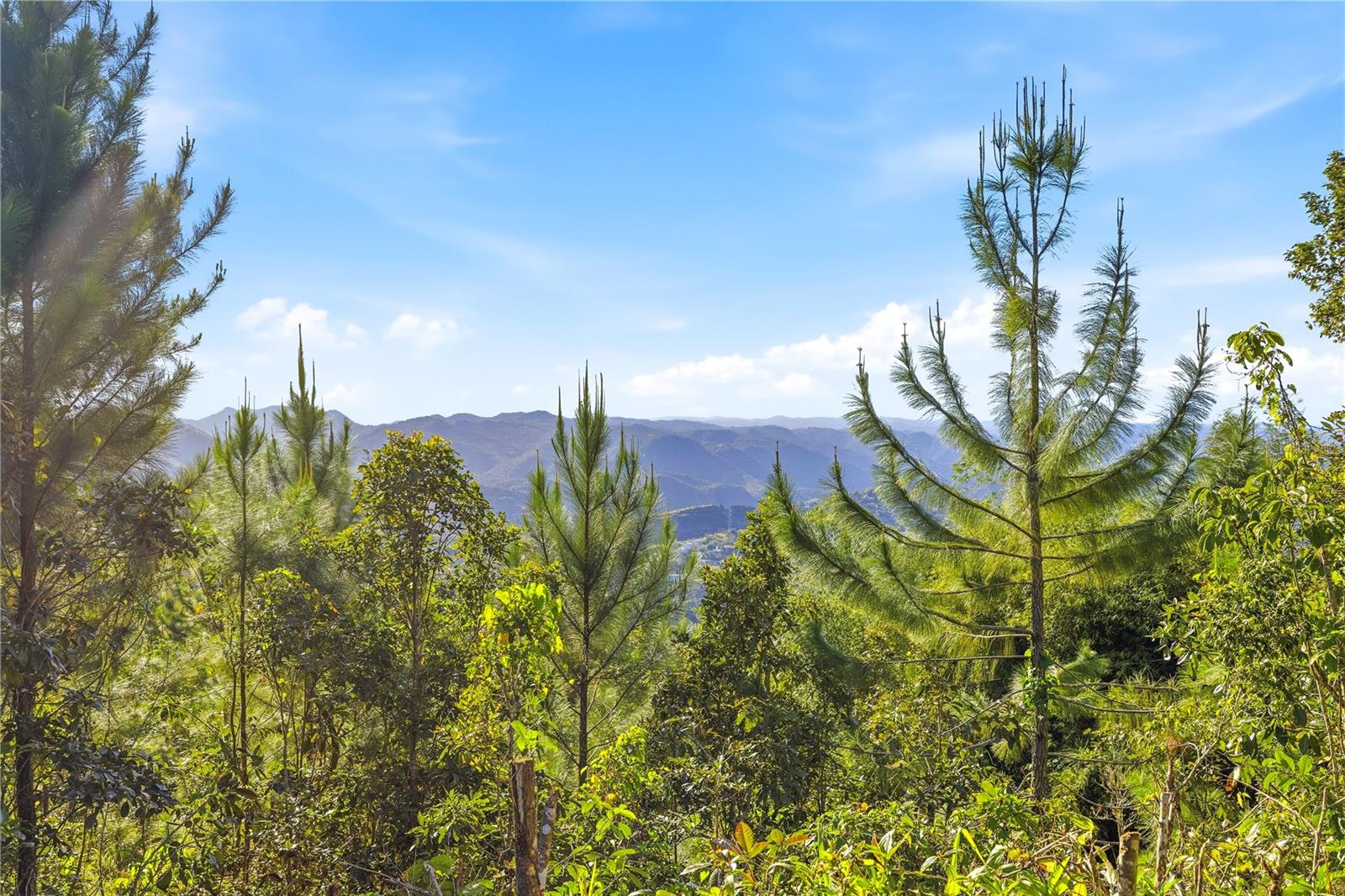 RD15 KM20.6 BO. QUEBRADA ARRIBA