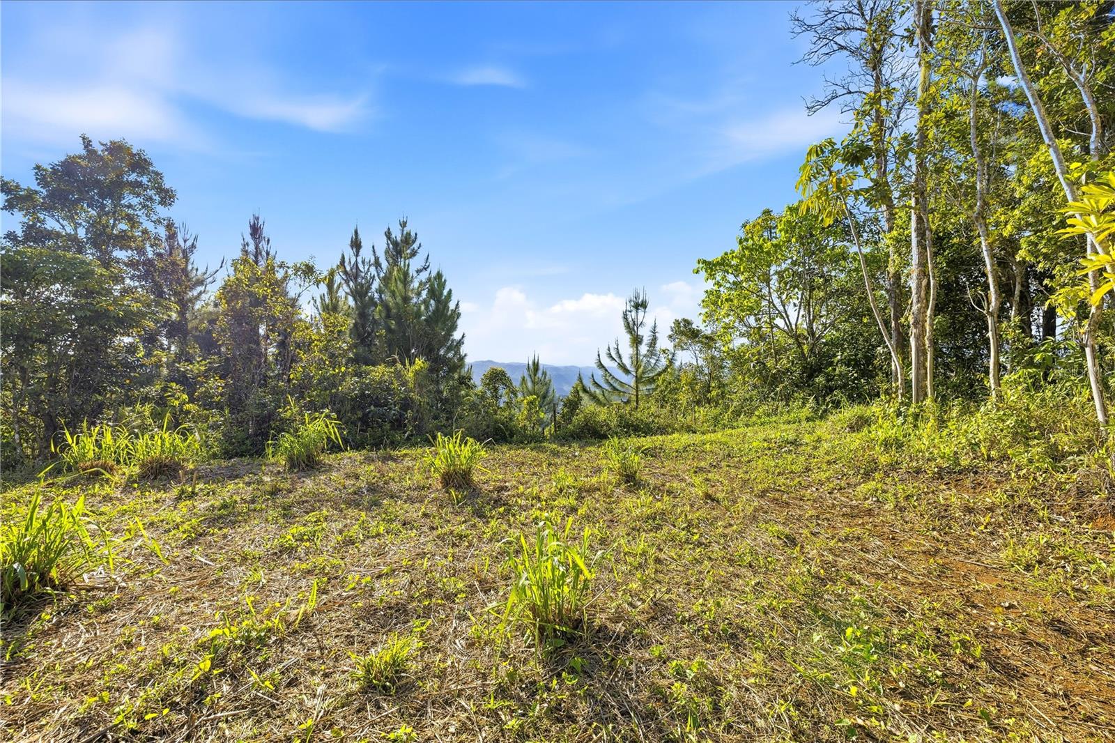 RD15 KM20.6 BO. QUEBRADA ARRIBA