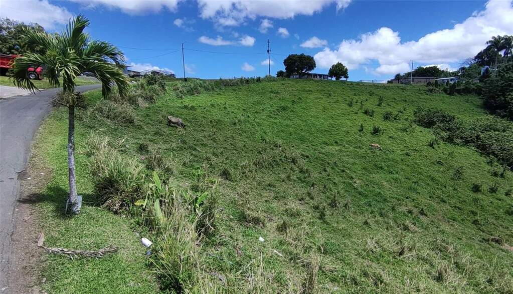 Pr 749 Km 0.2 Lot 3 Quebrada G