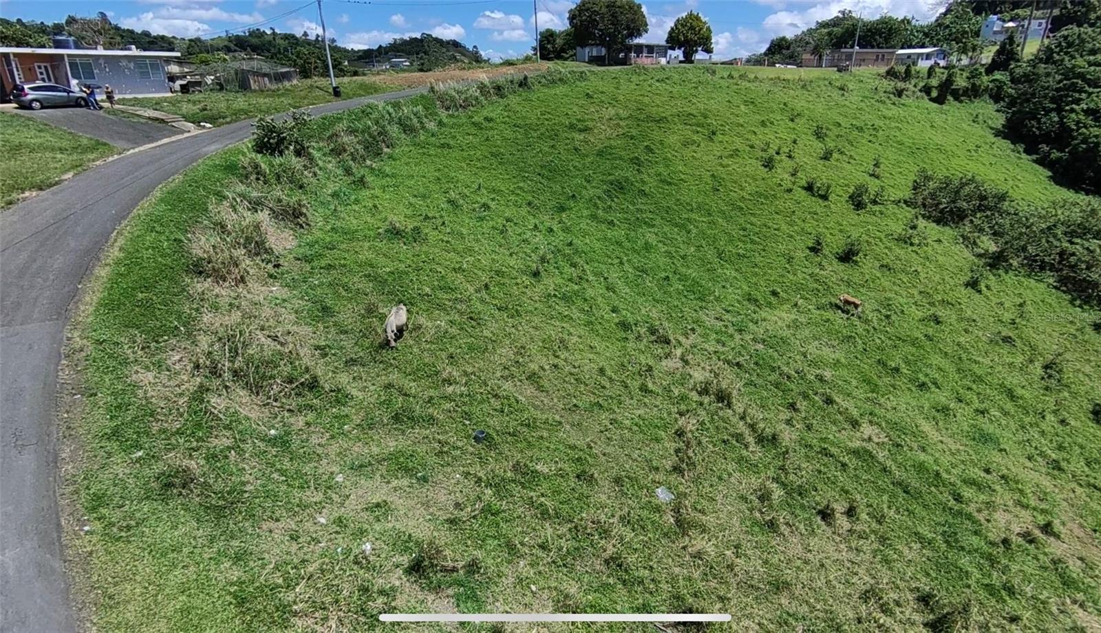 749 KM 0.2 LOT 3 QUEBRADA GRANDE WD