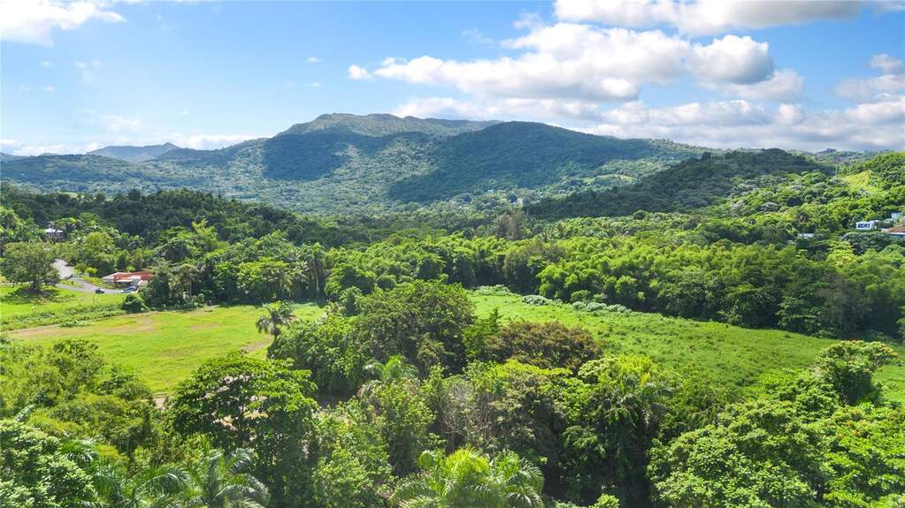 23 & 24 Hacienda Carabali