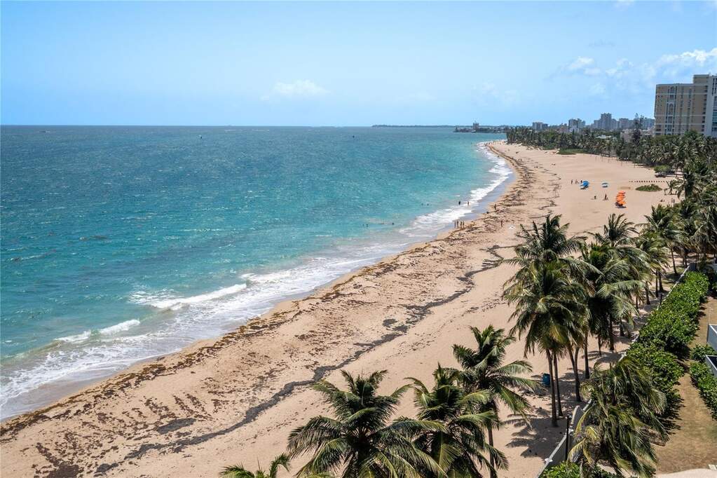 1479 Avenida Ashford Unit: 802