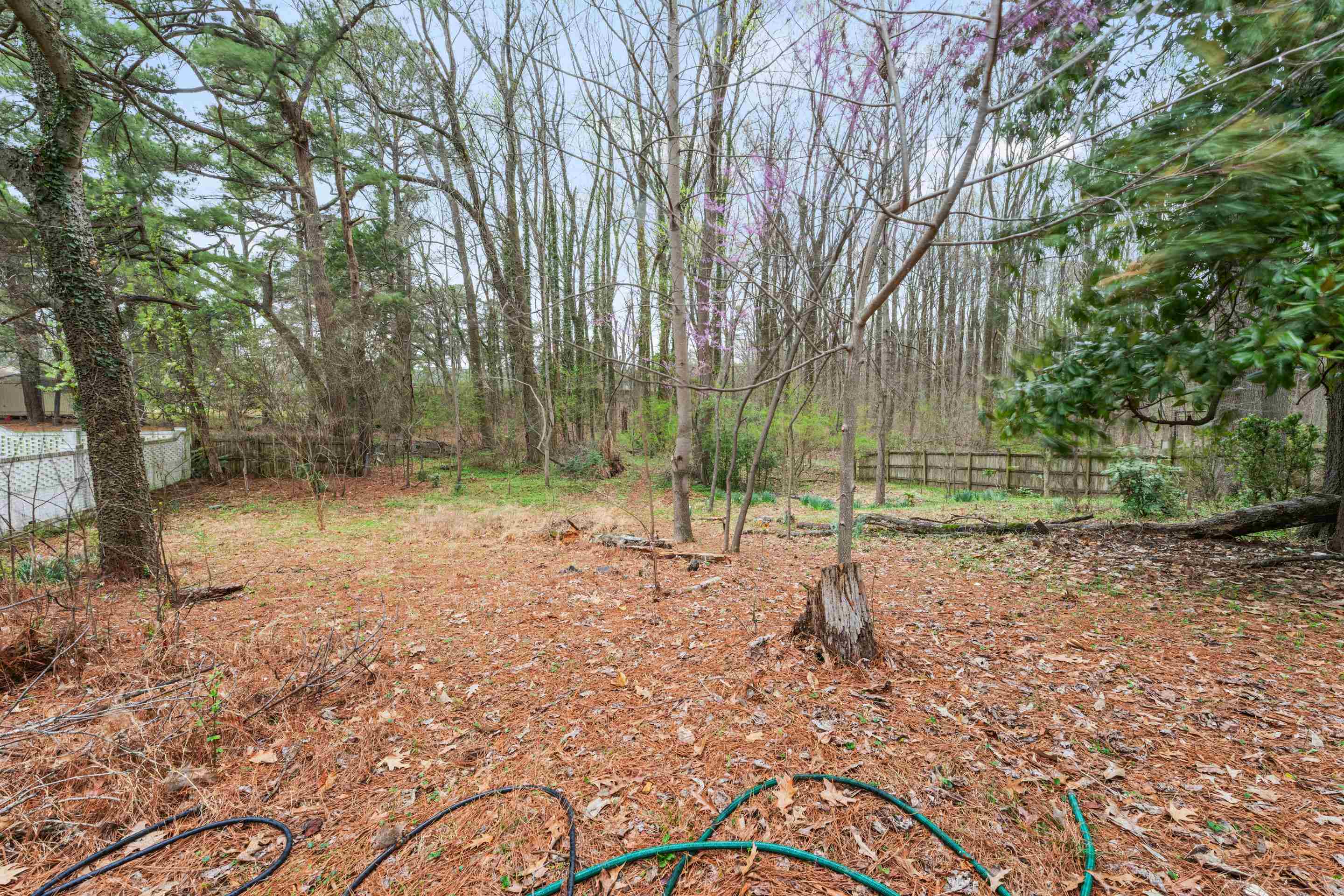 3981 GLENDALE DR