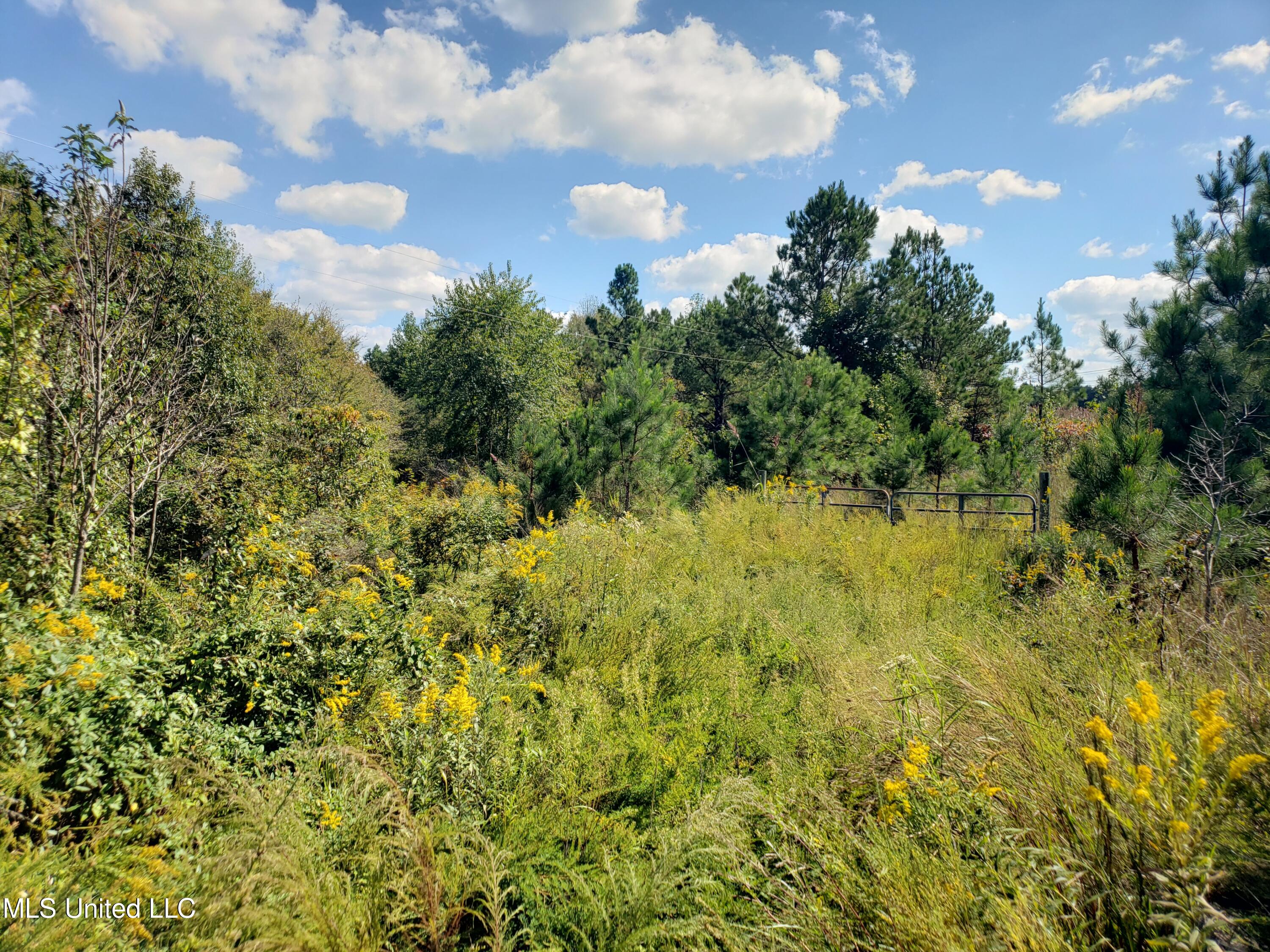 Winding Creek Circle