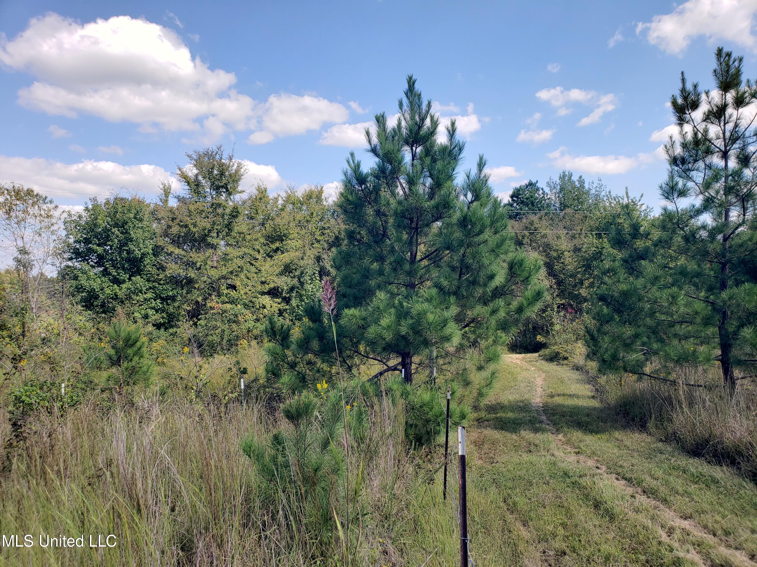 Winding Creek Circle