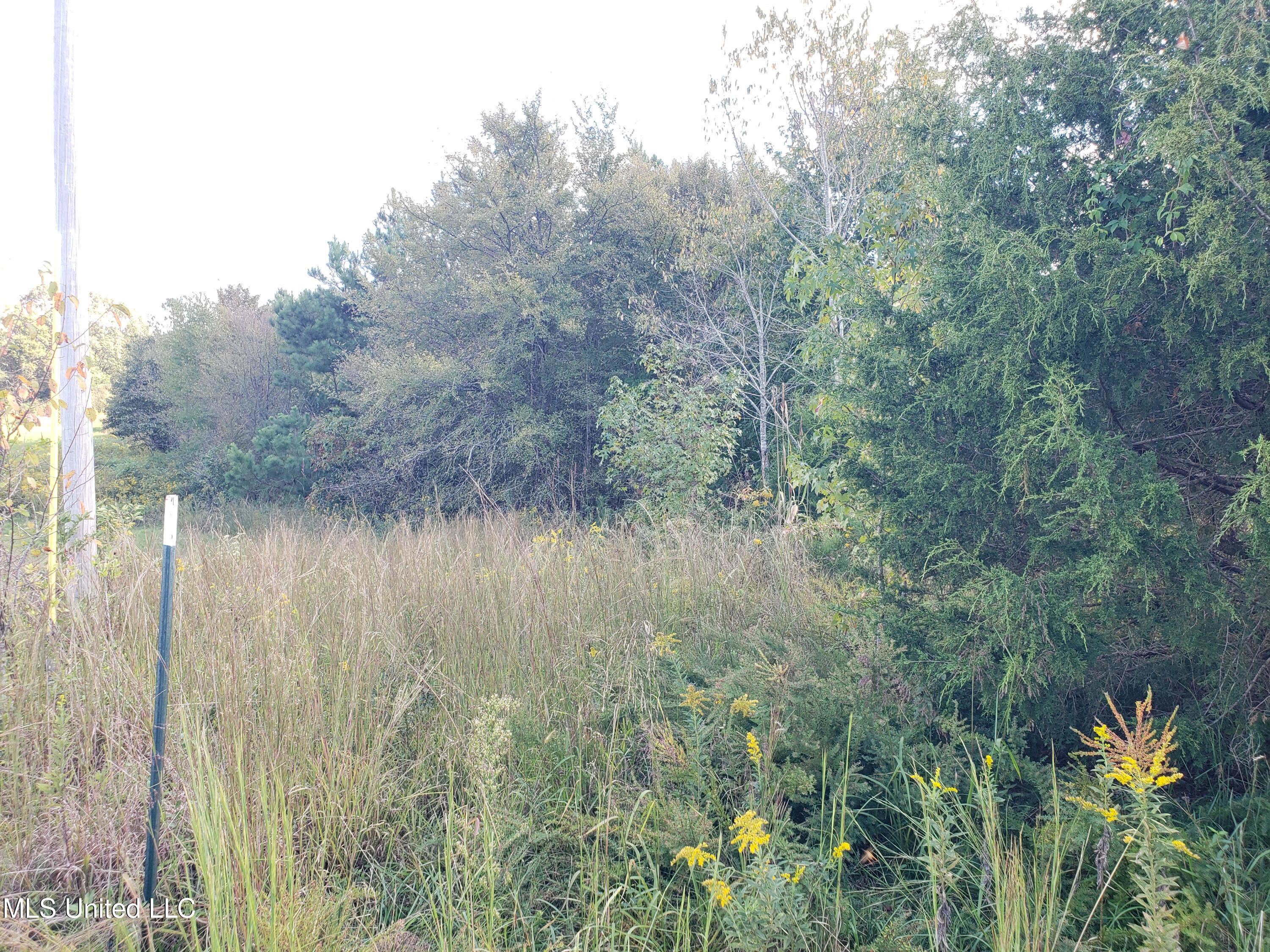 Winding Creek Circle
