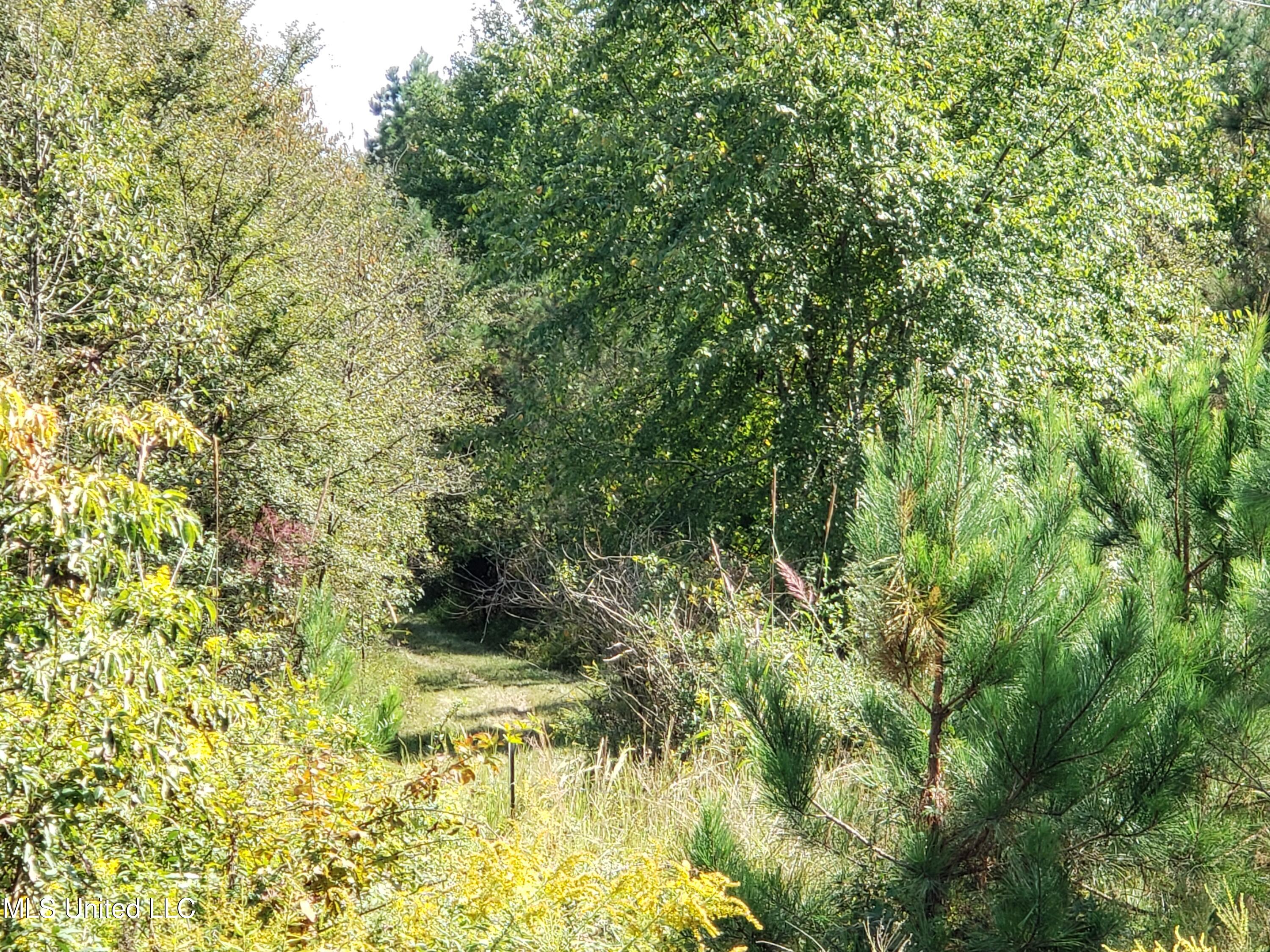 Winding Creek Circle