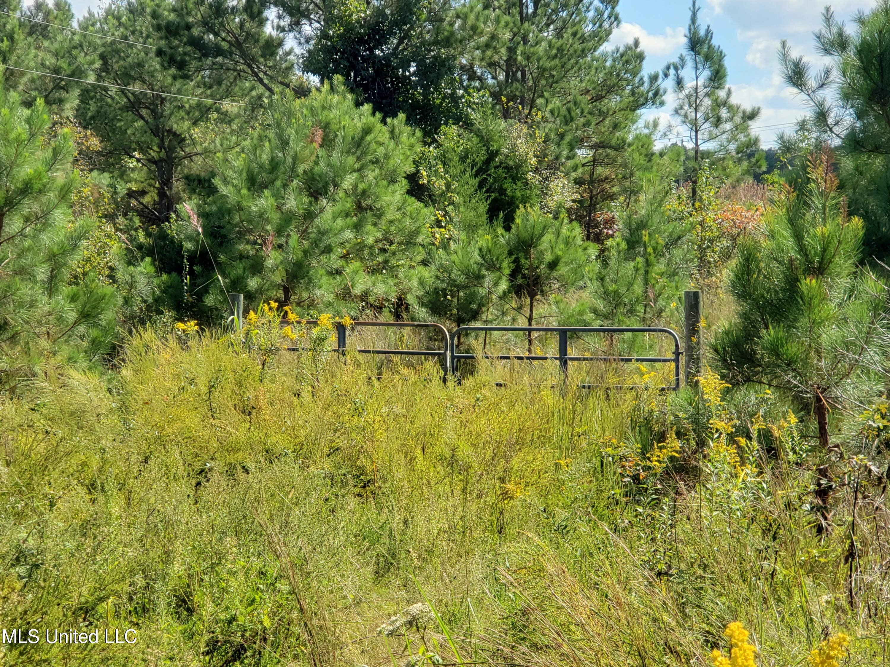 Winding Creek Circle