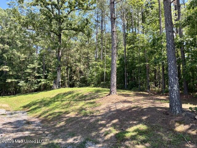 2262 Attala Road 3023
