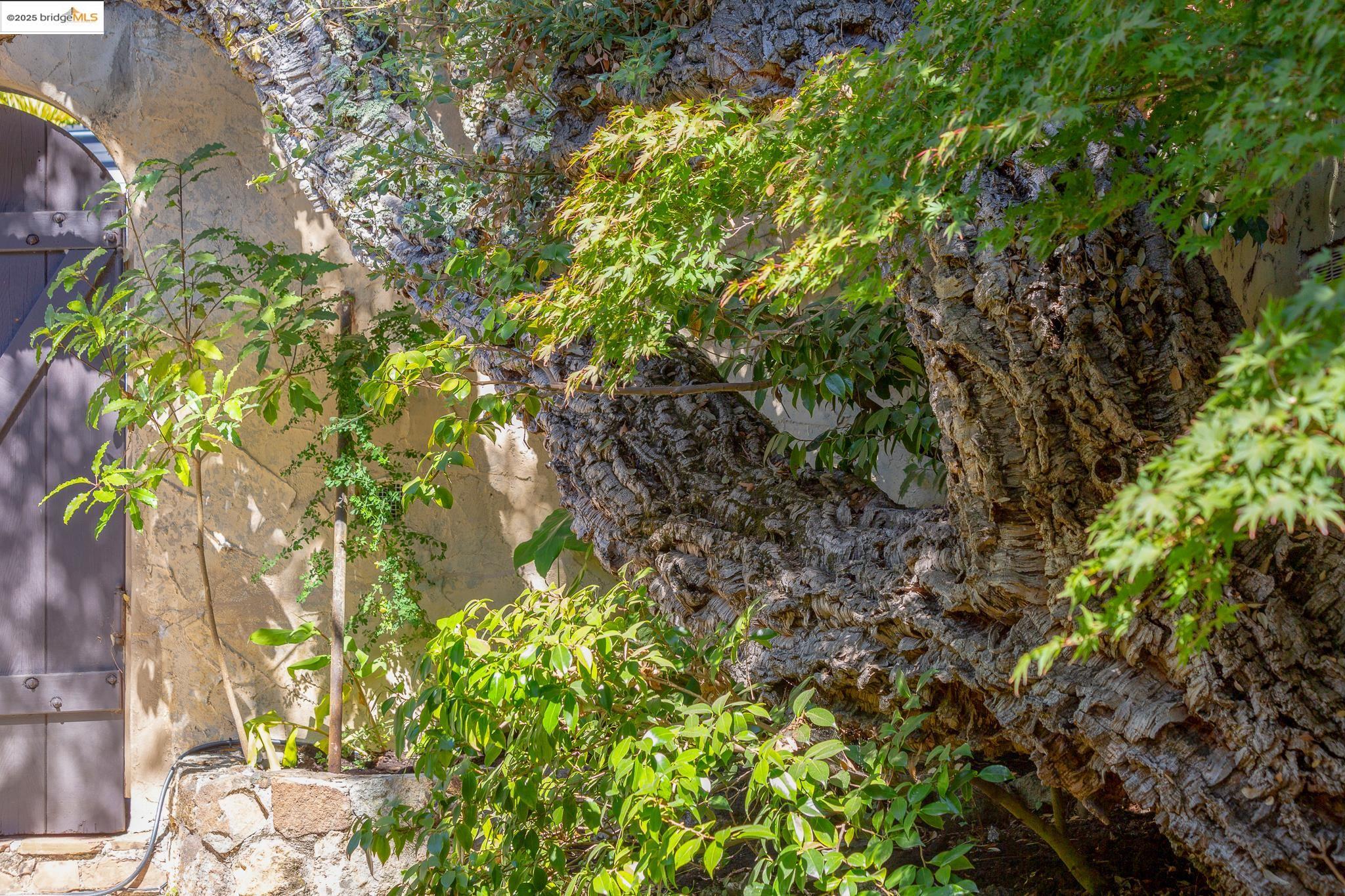 1922 San Antonio Ave