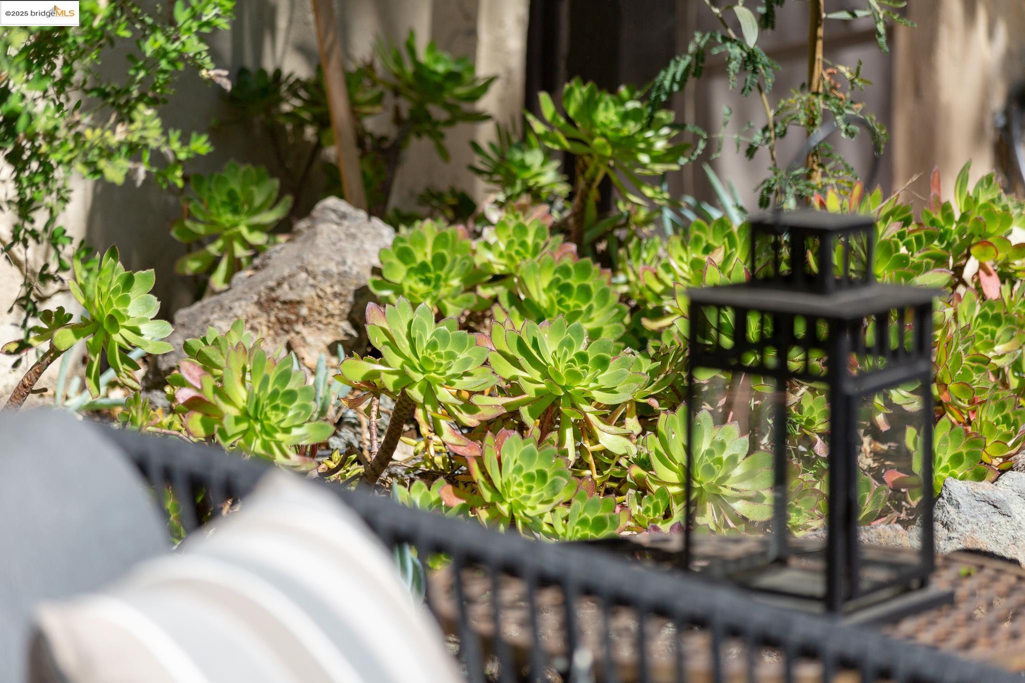 1922 San Antonio Ave