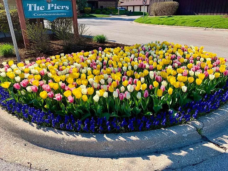 73 W Pier Drive Unit: 201