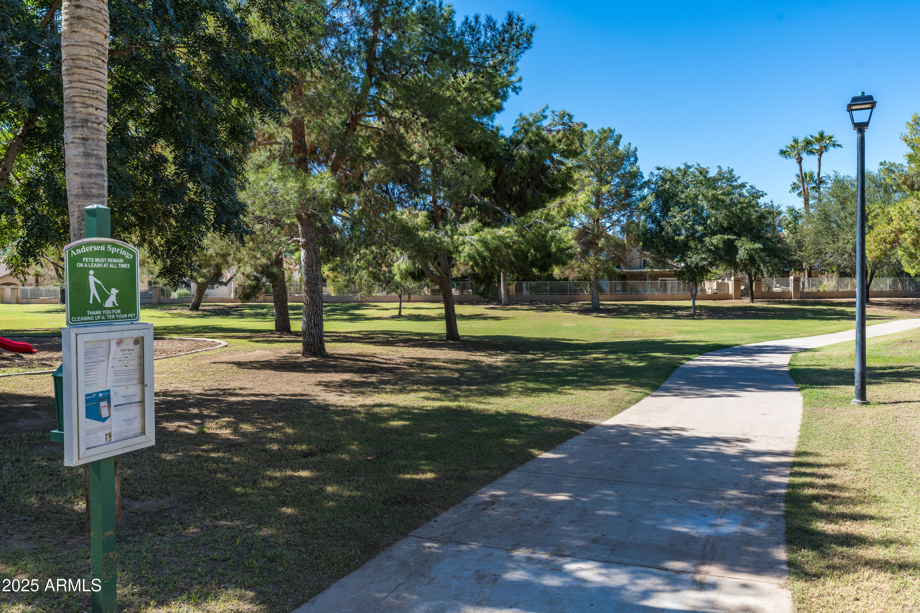 590 N CHOLLA Street, Chandler