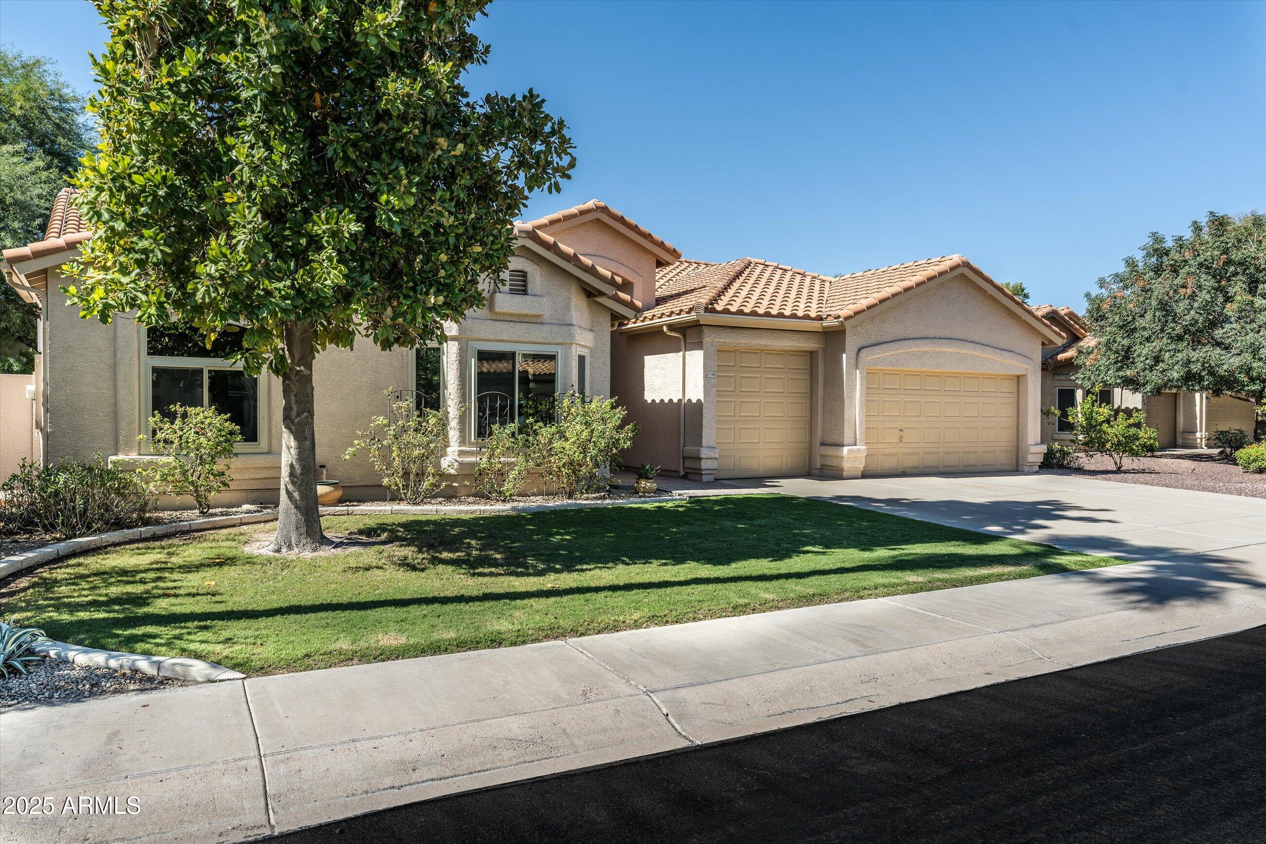 590 N CHOLLA Street, Chandler