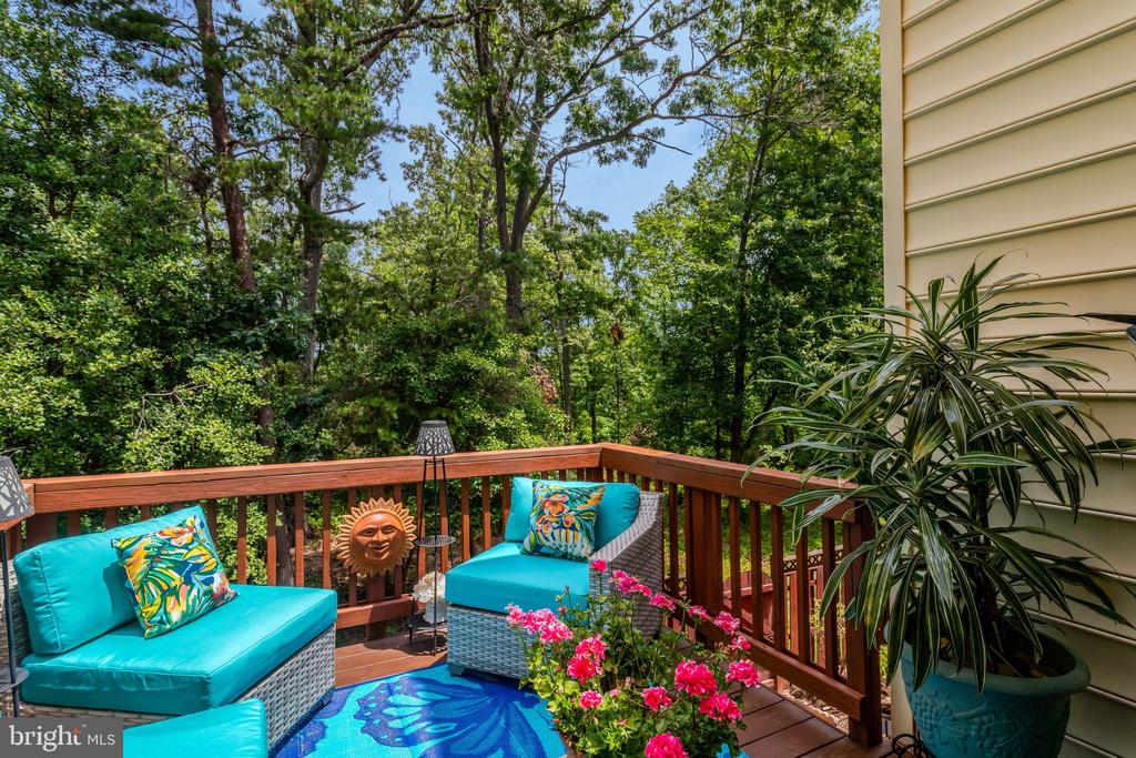 6138 CINNAMON COURT