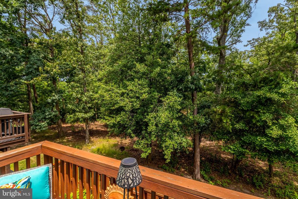6138 CINNAMON COURT
