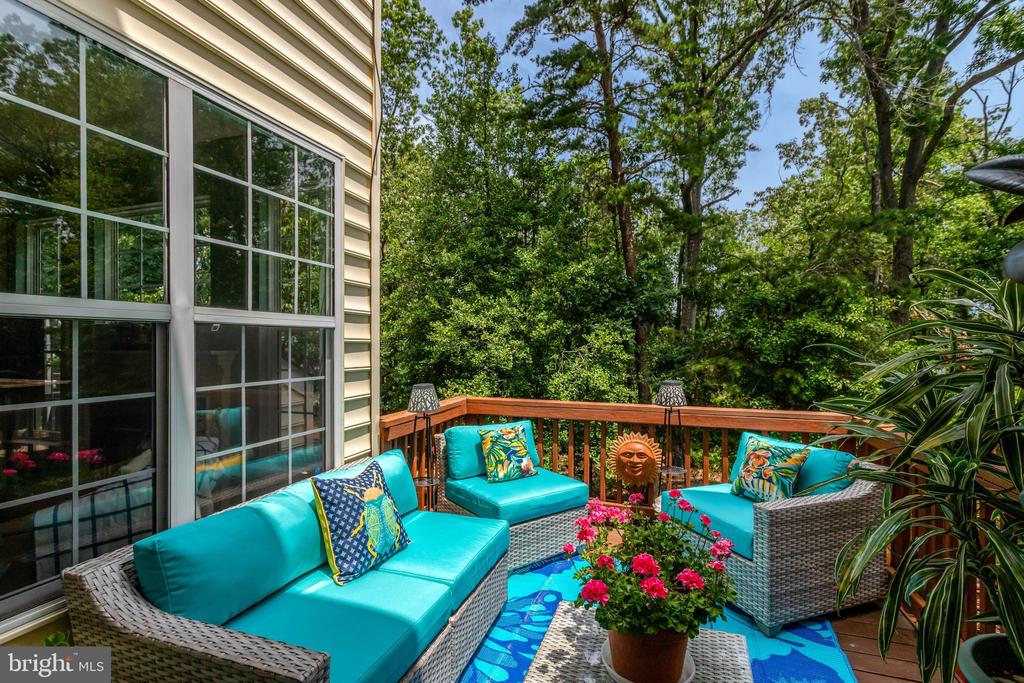 6138 CINNAMON COURT