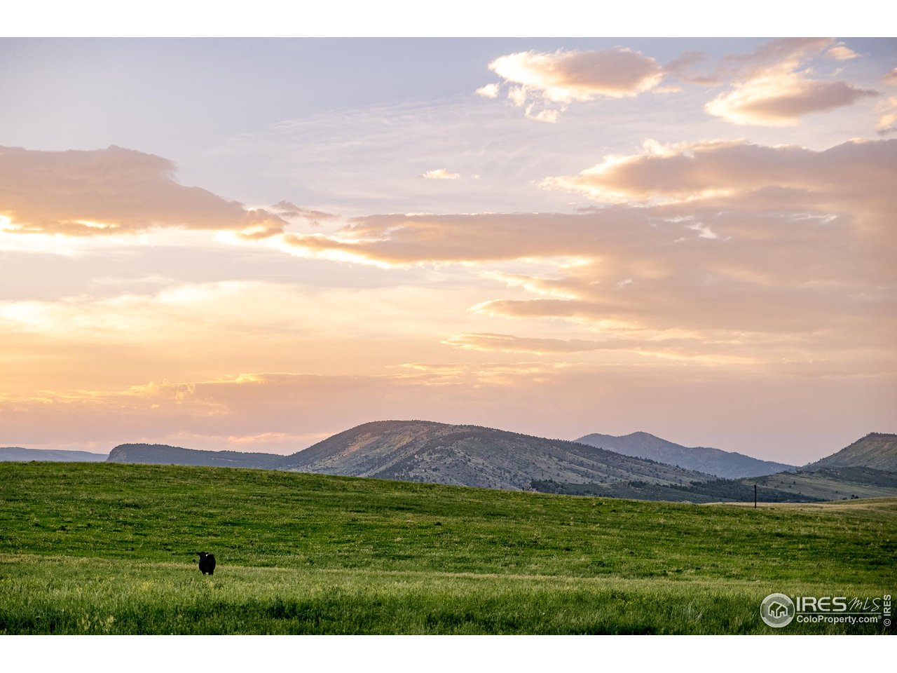 11534 Eagle Springs Trl