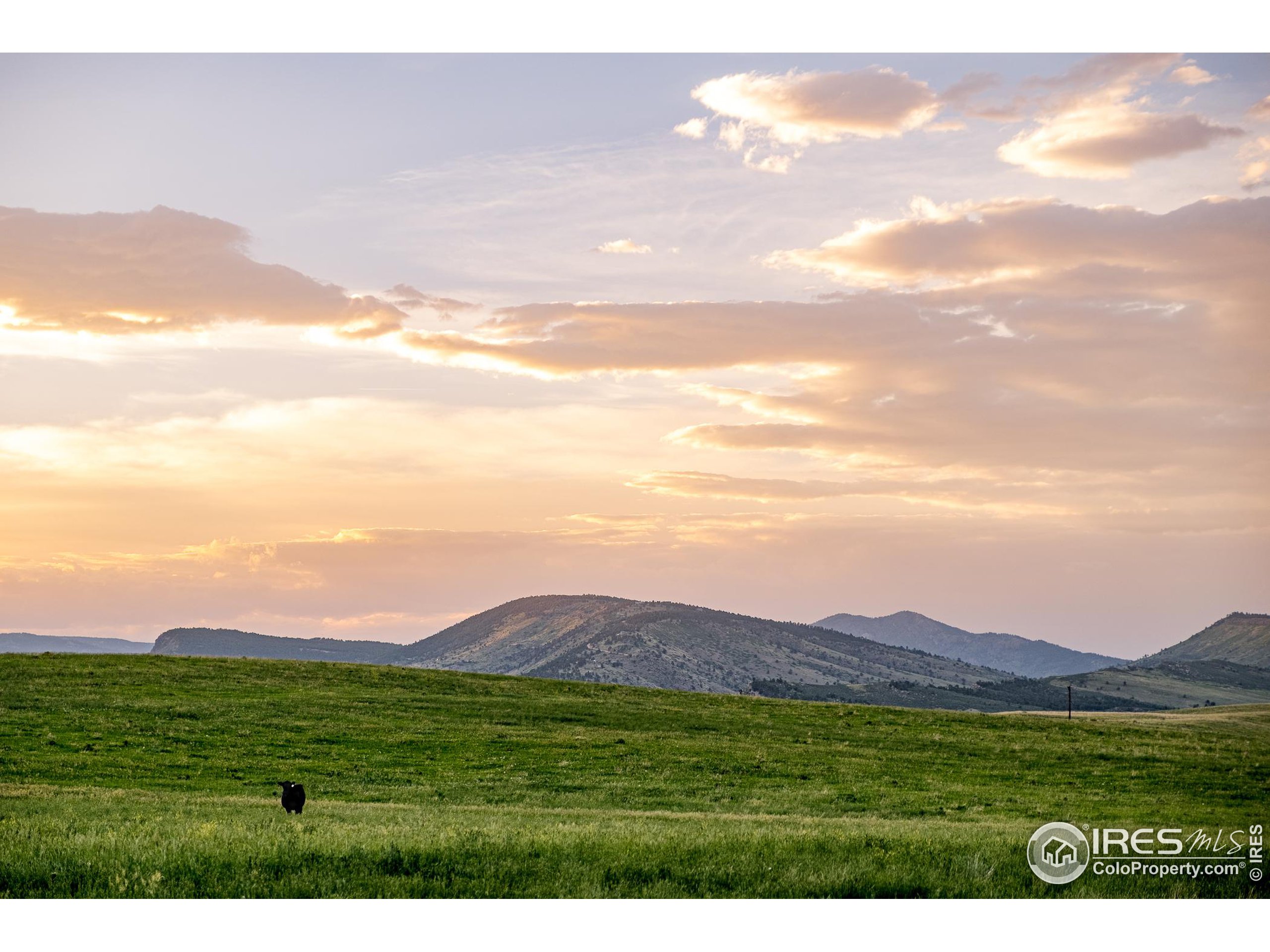 11534 Eagle Springs Trl