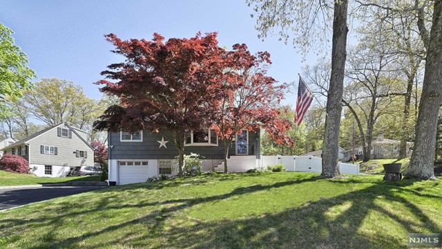 46 Rafkind Road