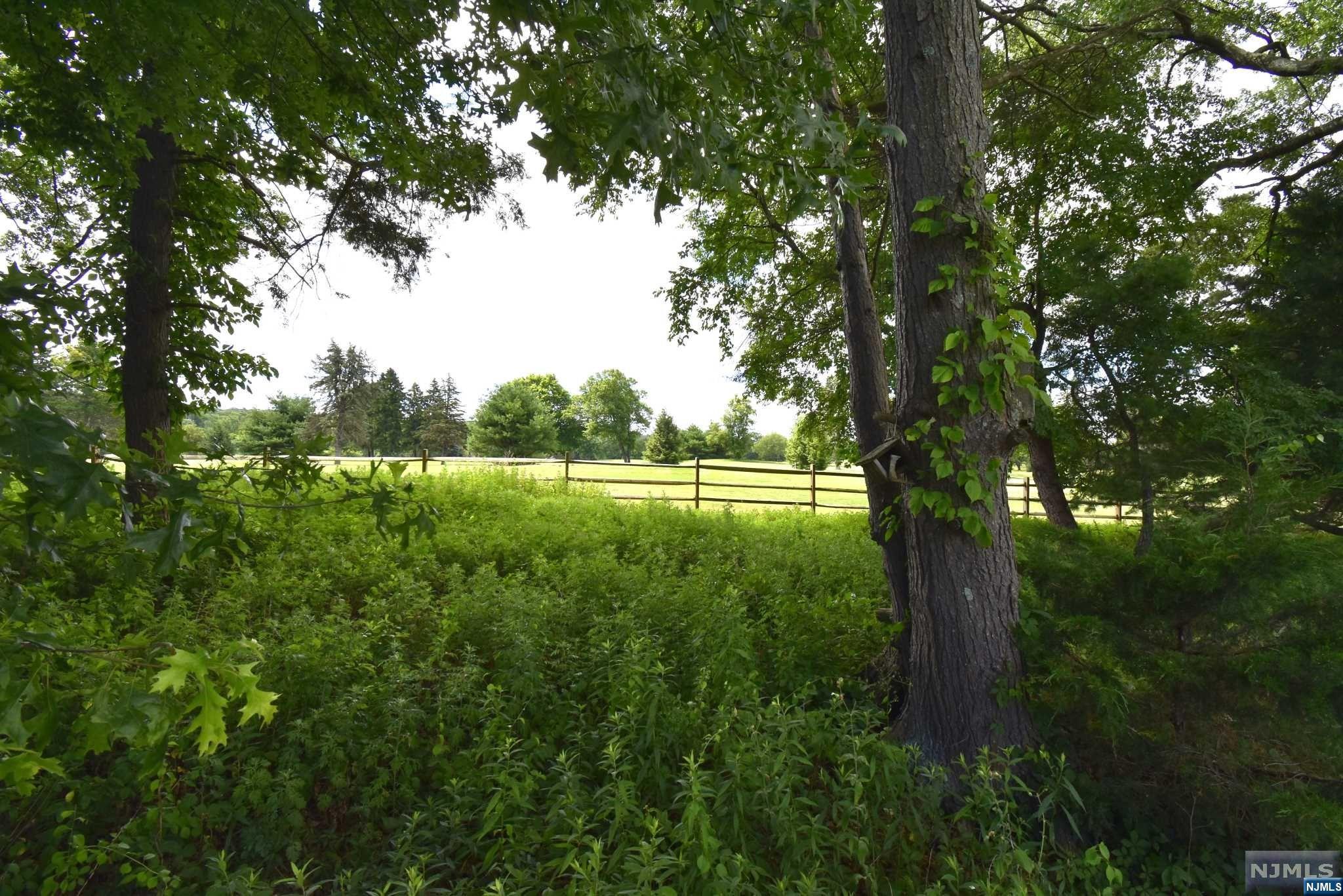 39 Cathyann Court