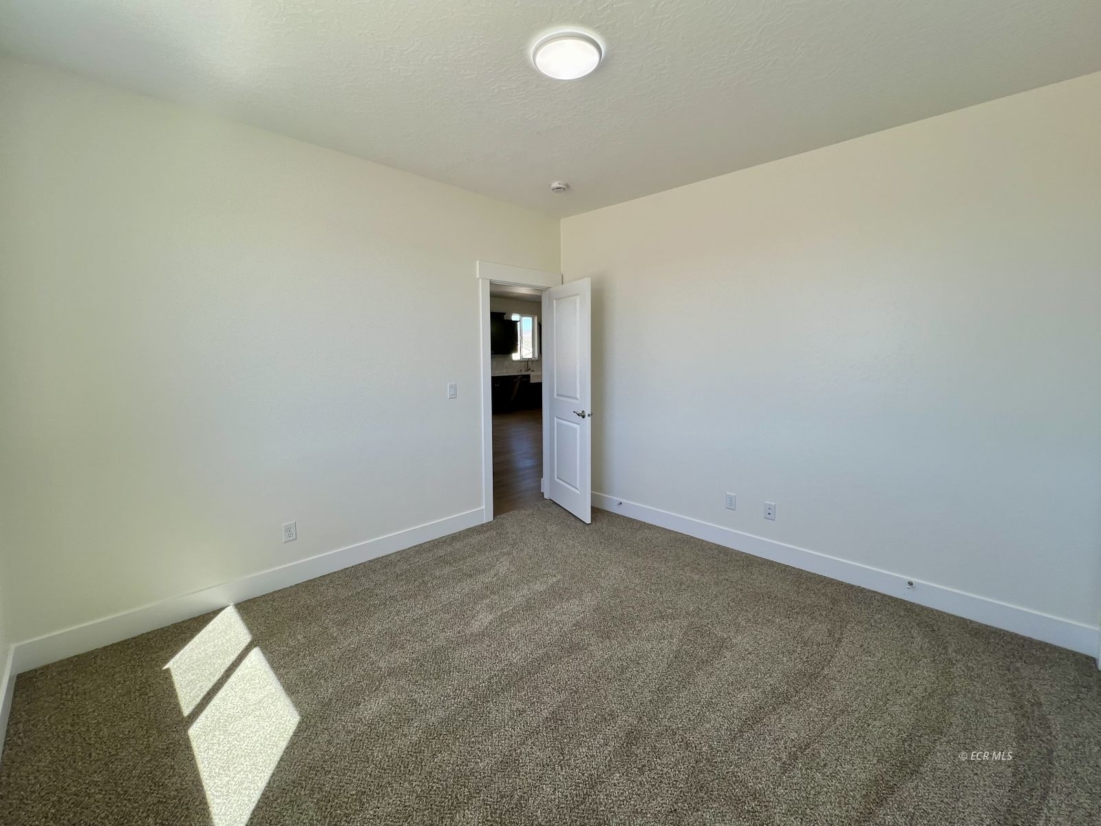 522 Shadybrook Drive