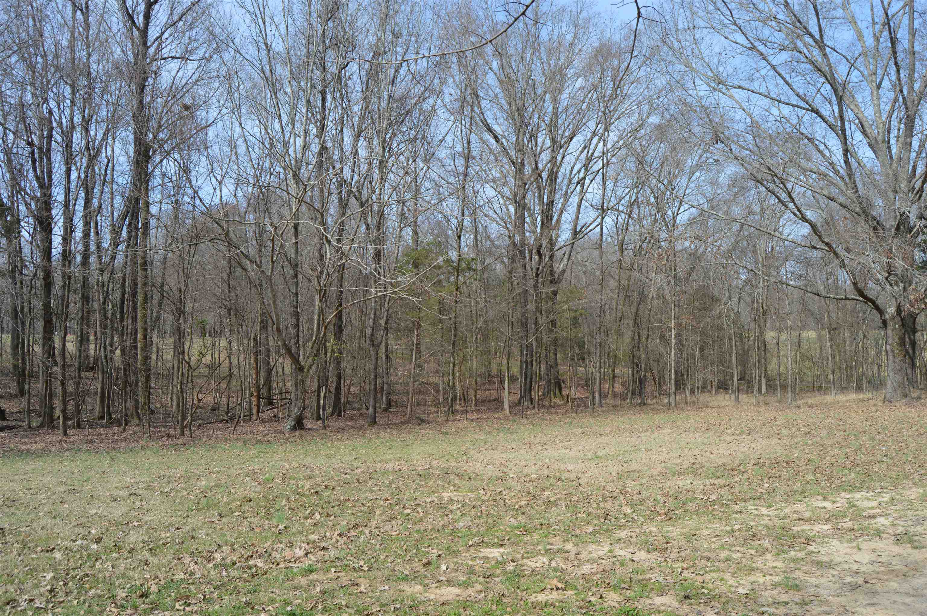 330 FALLING CREEK CV