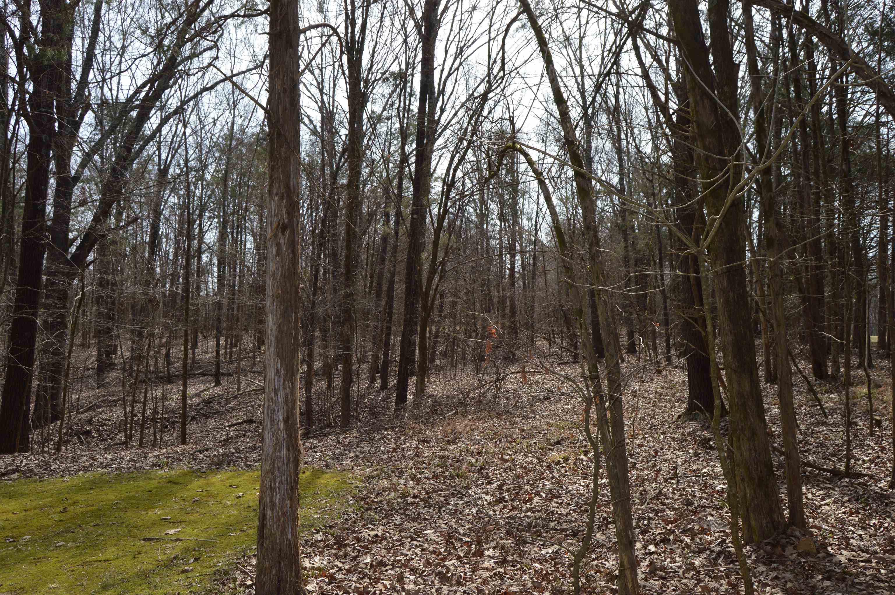 330 FALLING CREEK CV