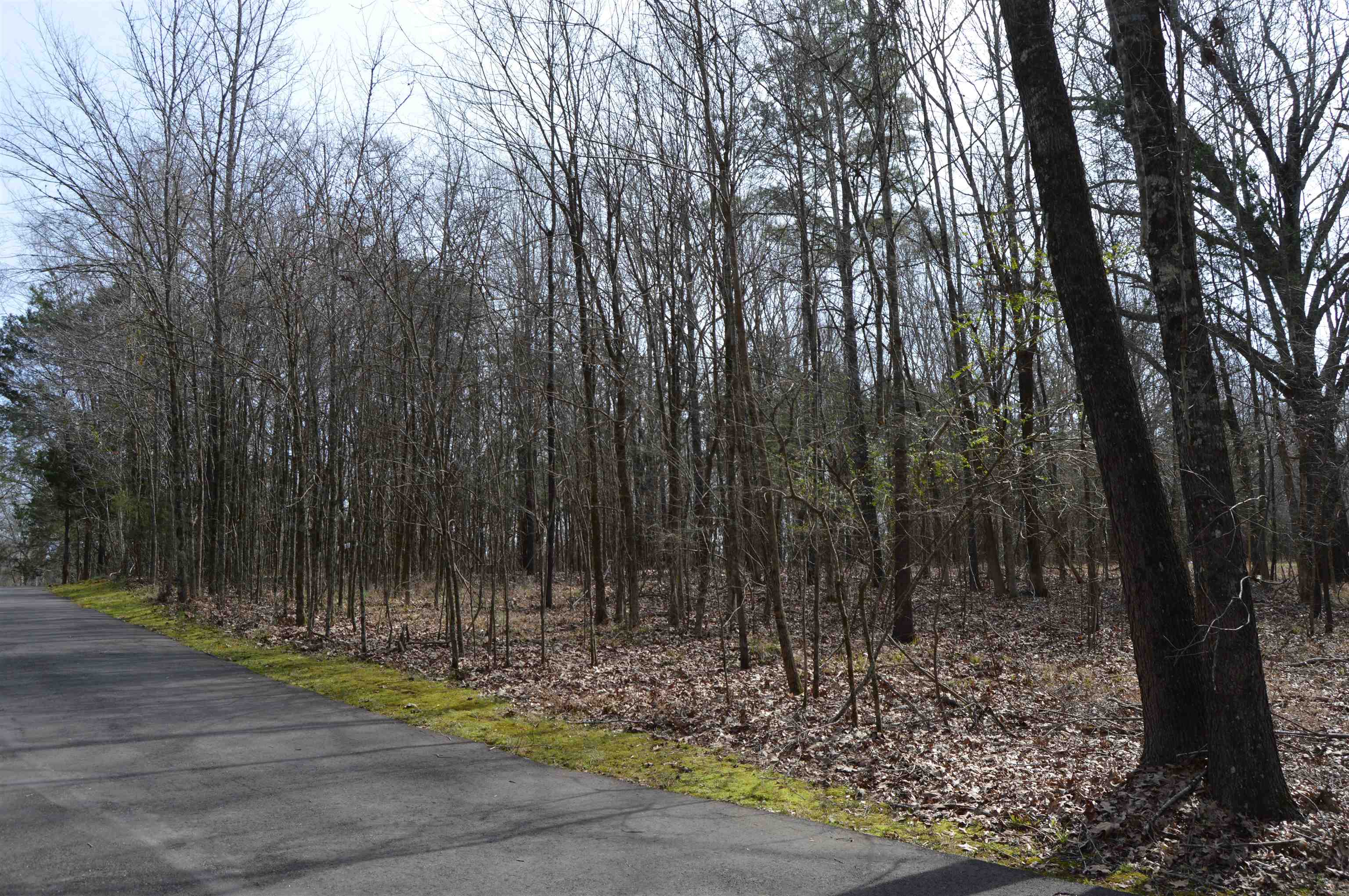 330 FALLING CREEK CV