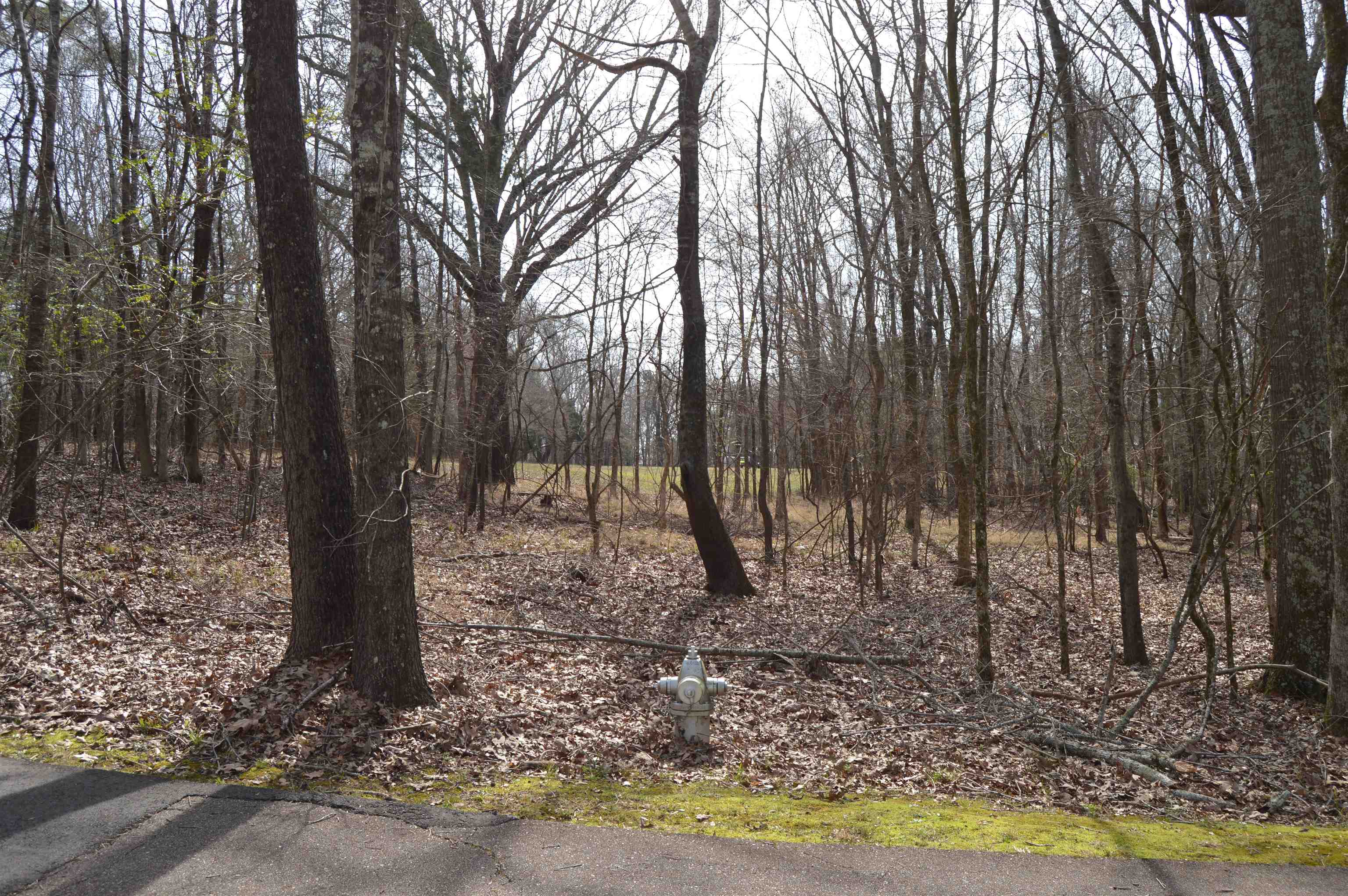 330 FALLING CREEK CV