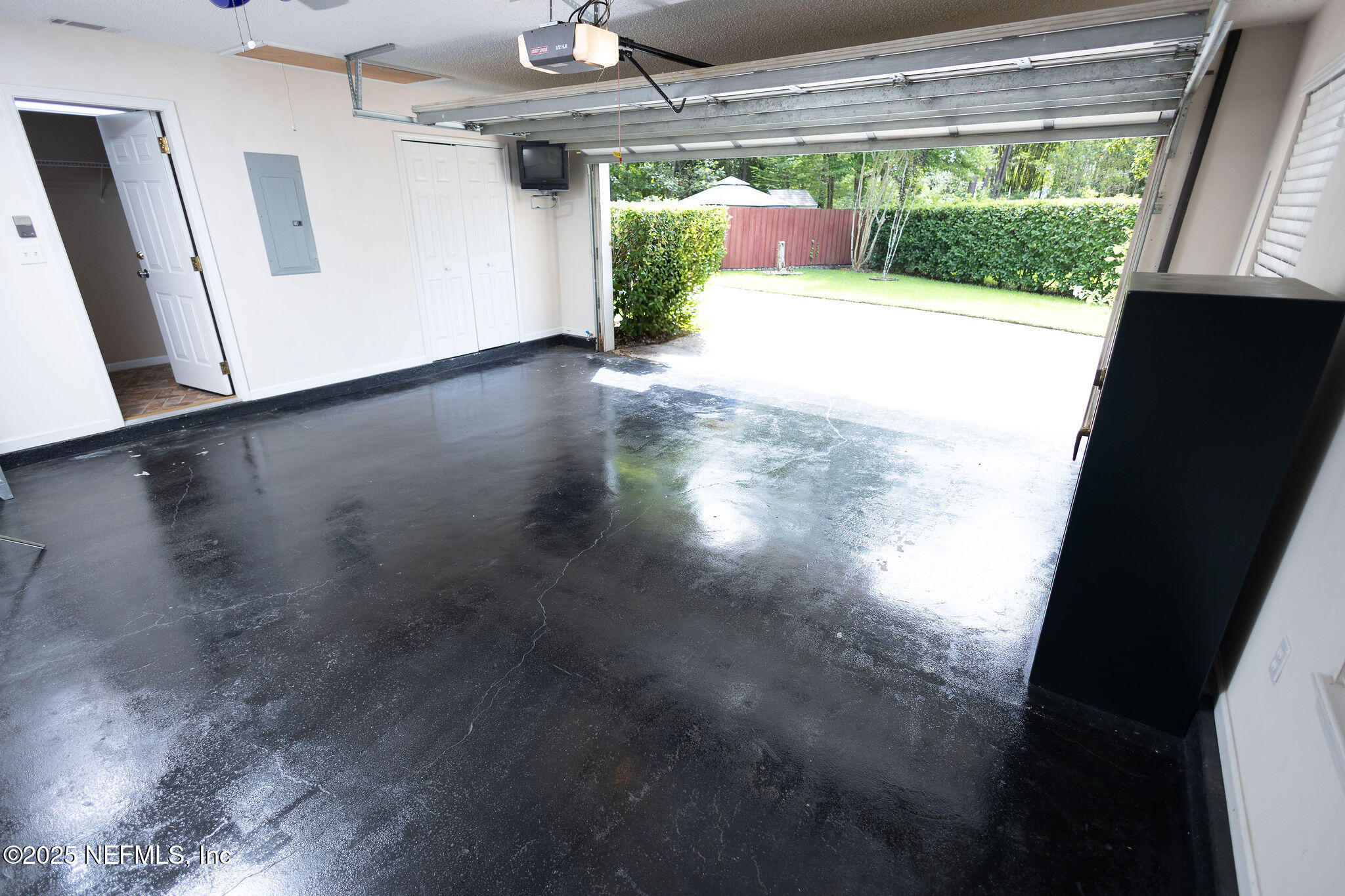 1174 NATIVE DANCER Court