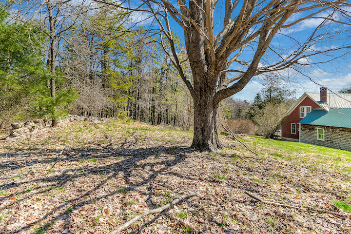 88 Boundary Road