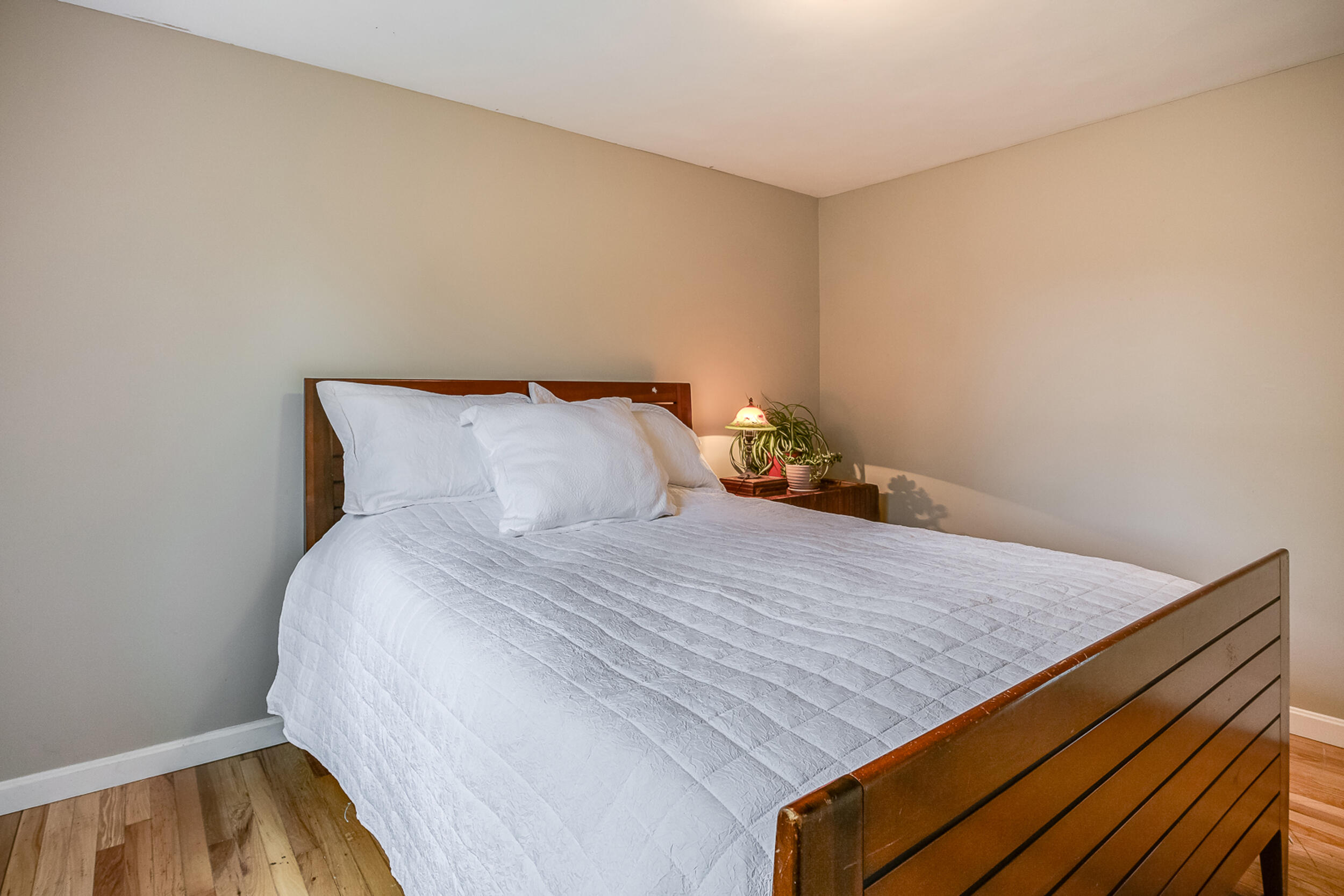 6 Buttonwood Road