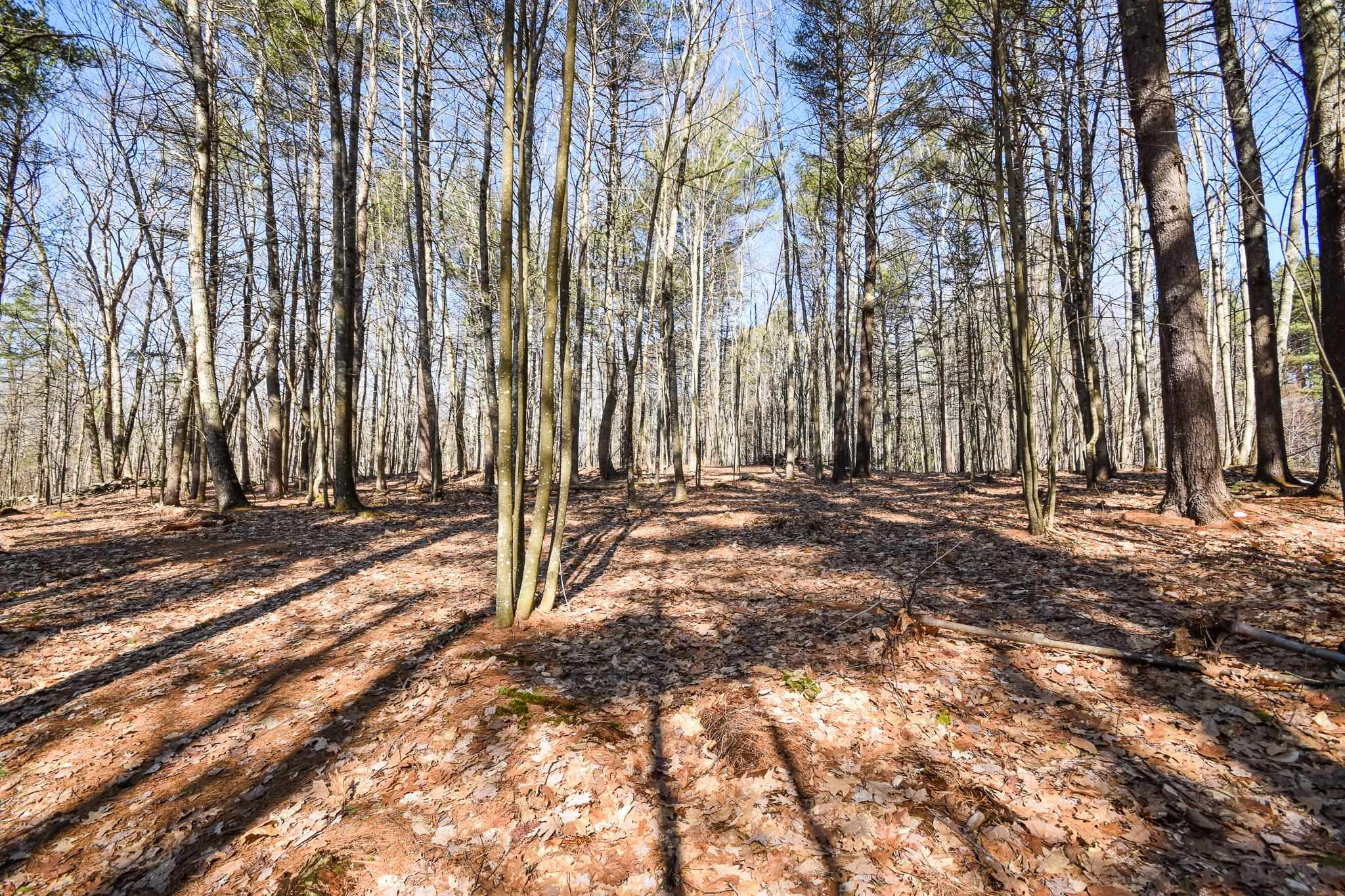 88 Davis Crossing Road