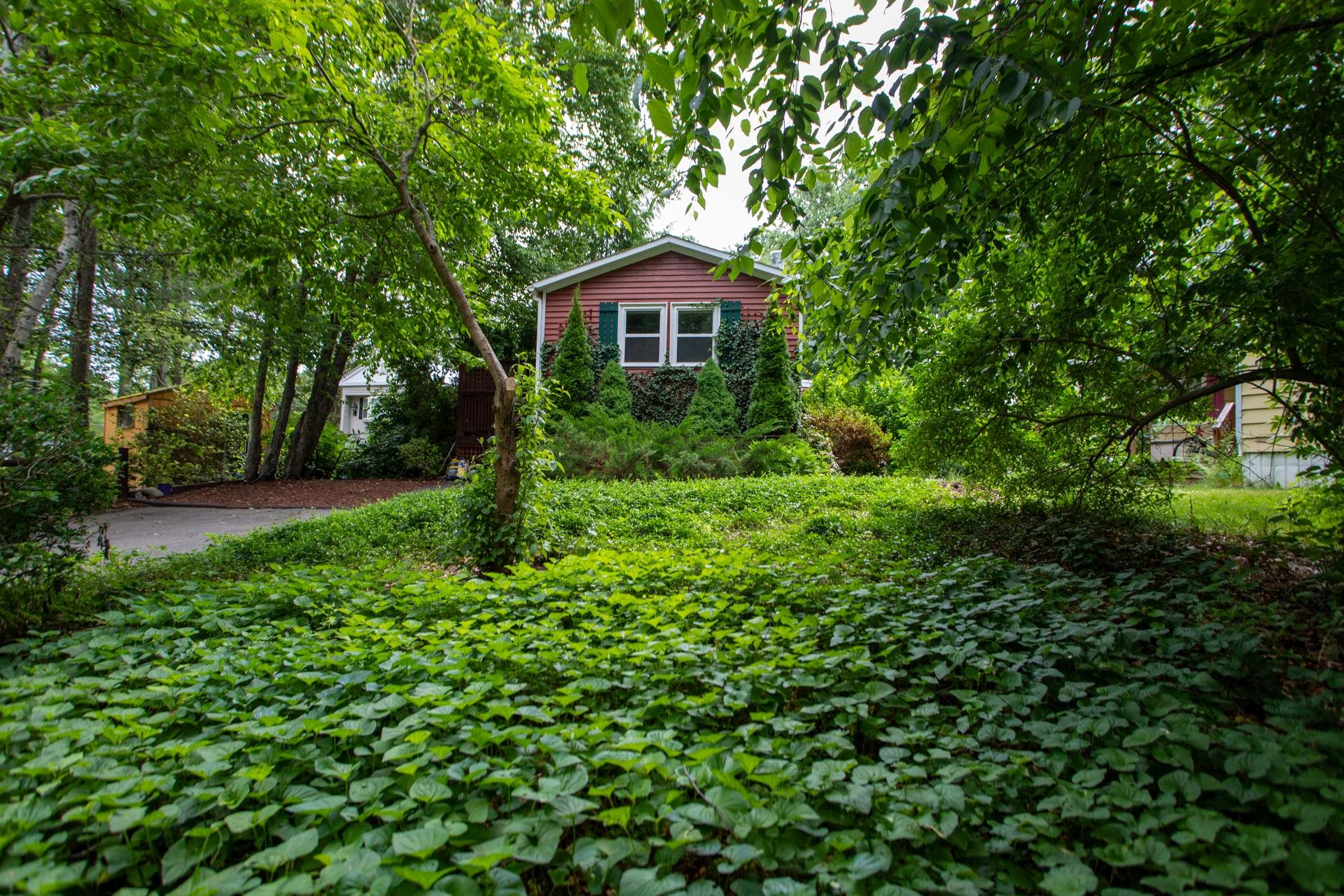 77 Hemlock Haven
