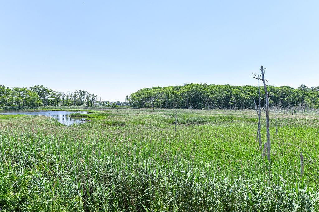 101 Dunvegan Woods Drive