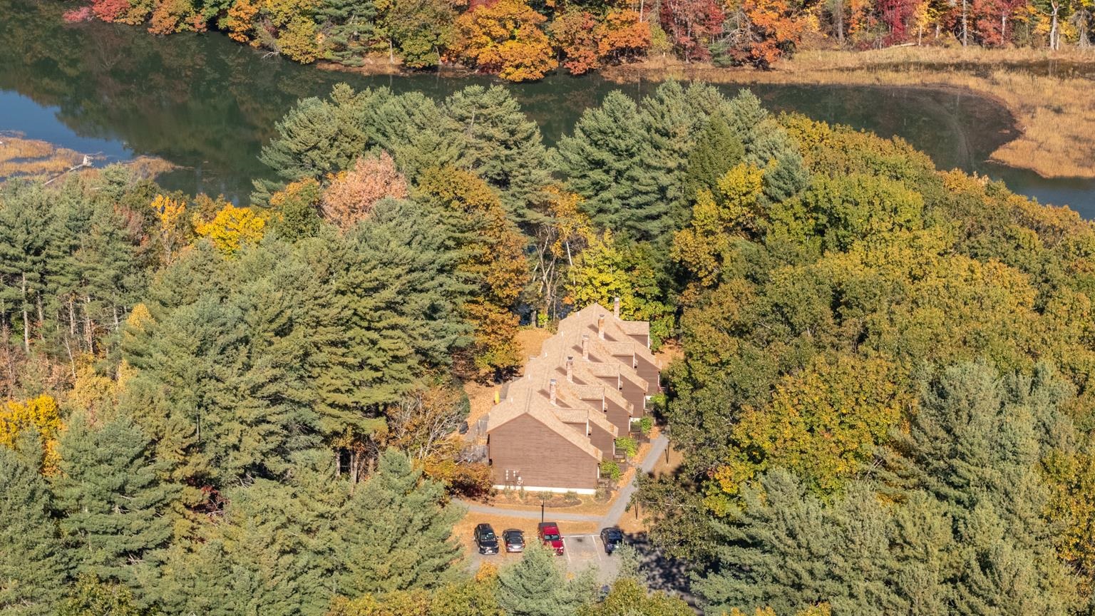 113 Bellamy Woods Unit: 113