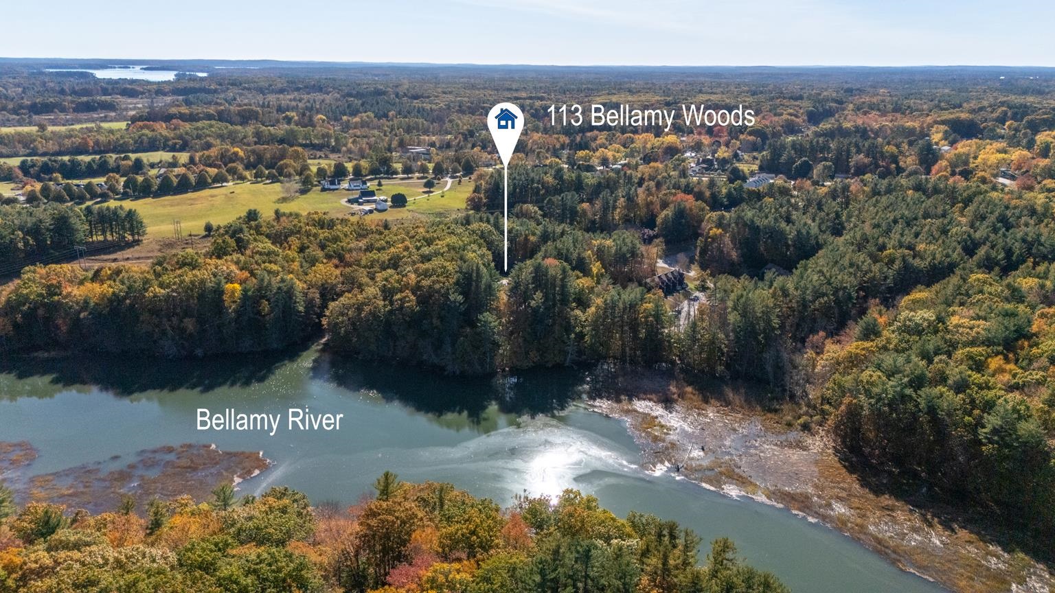 113 Bellamy Woods Unit: 113