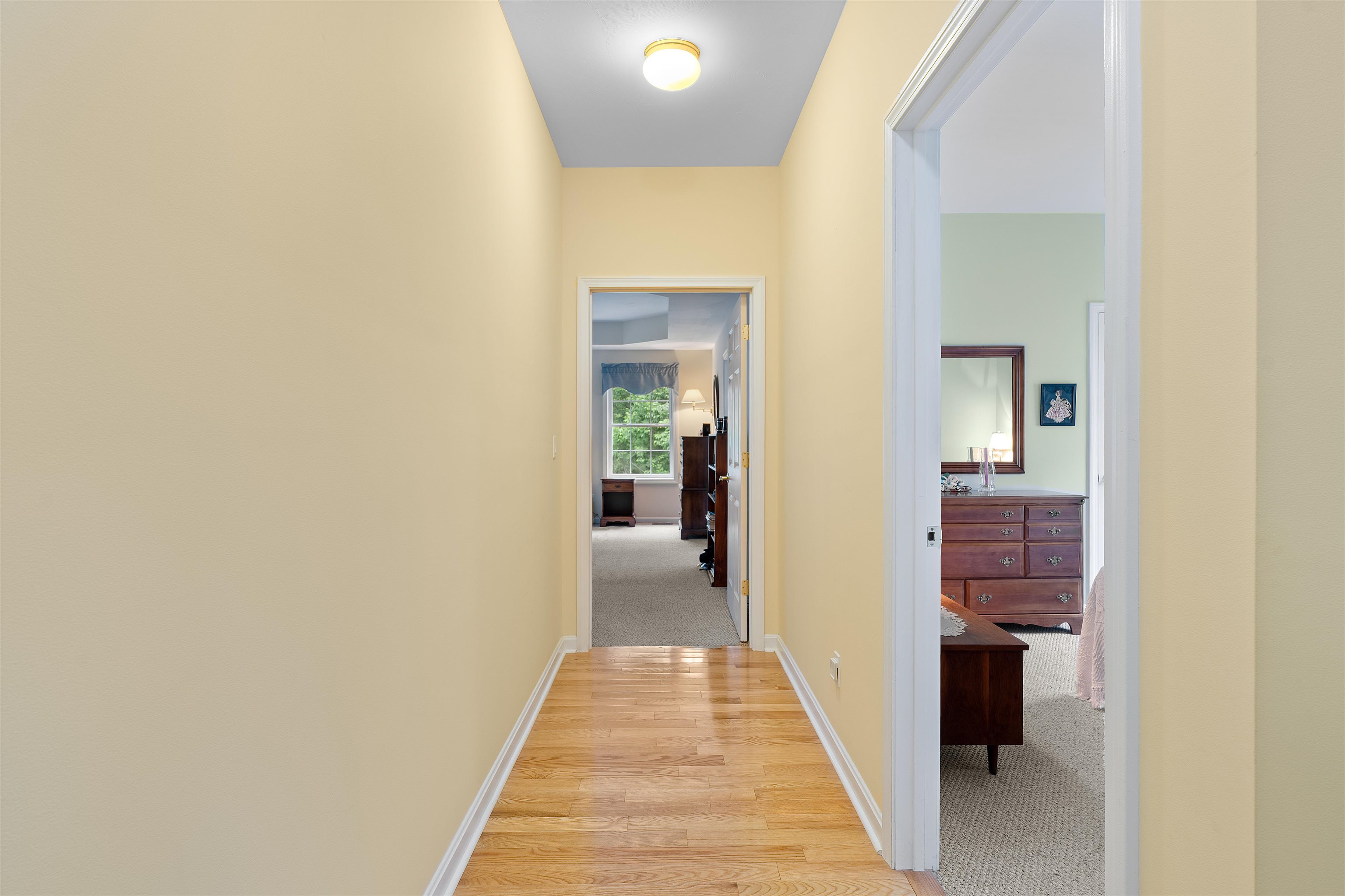 24 Gladiola Way