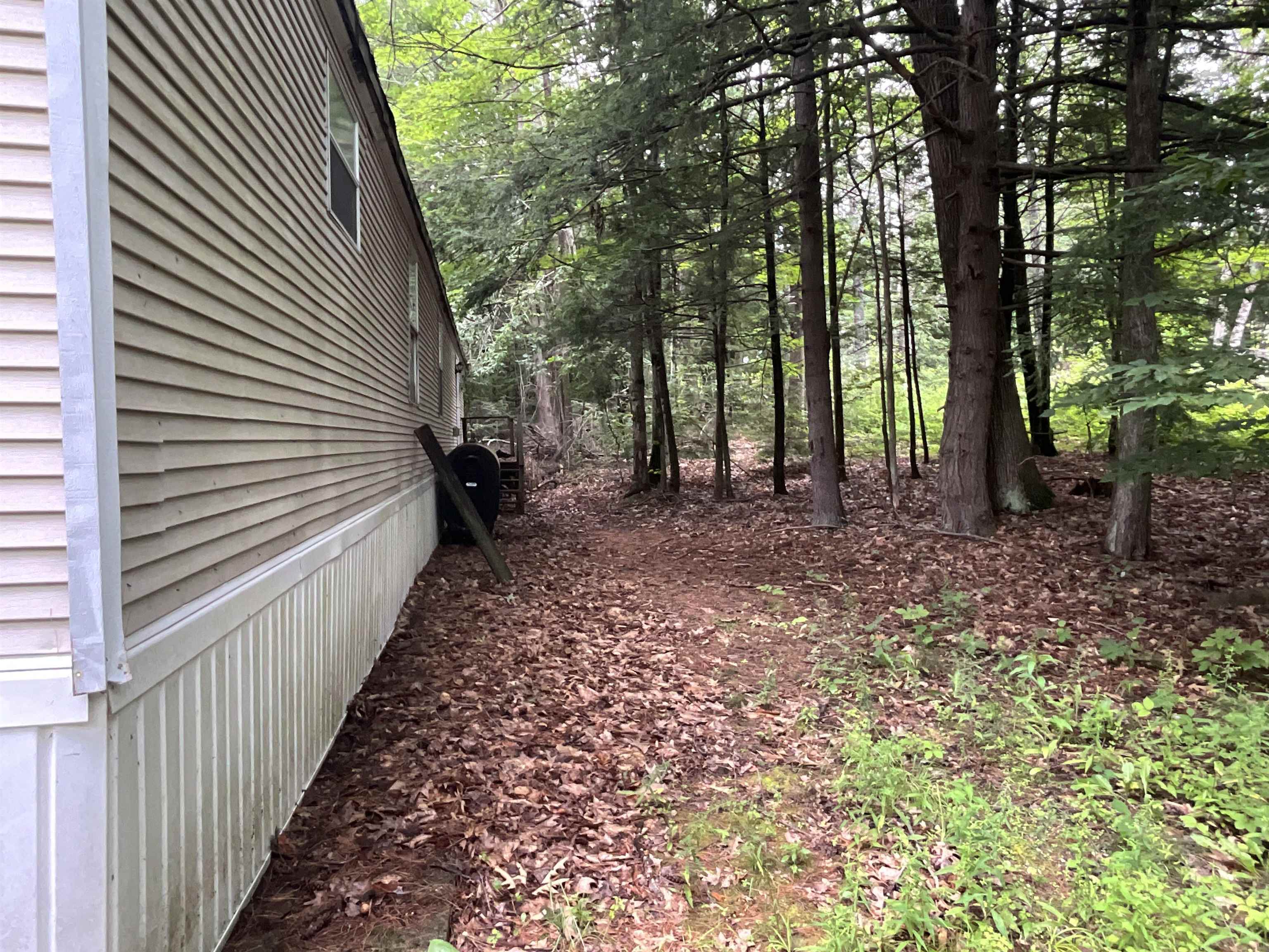 60 White Birch Lane