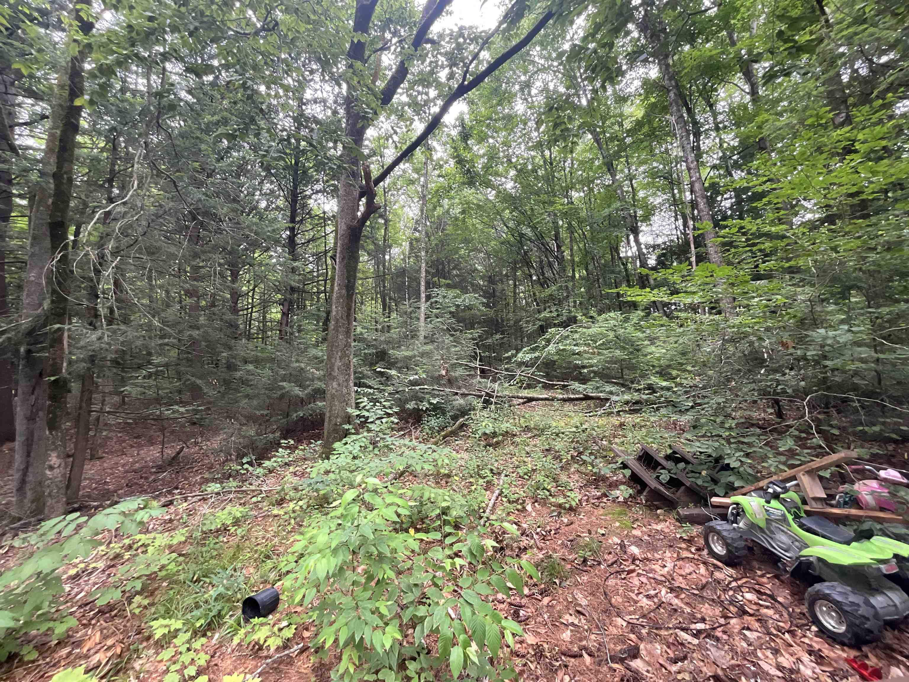 60 White Birch Lane