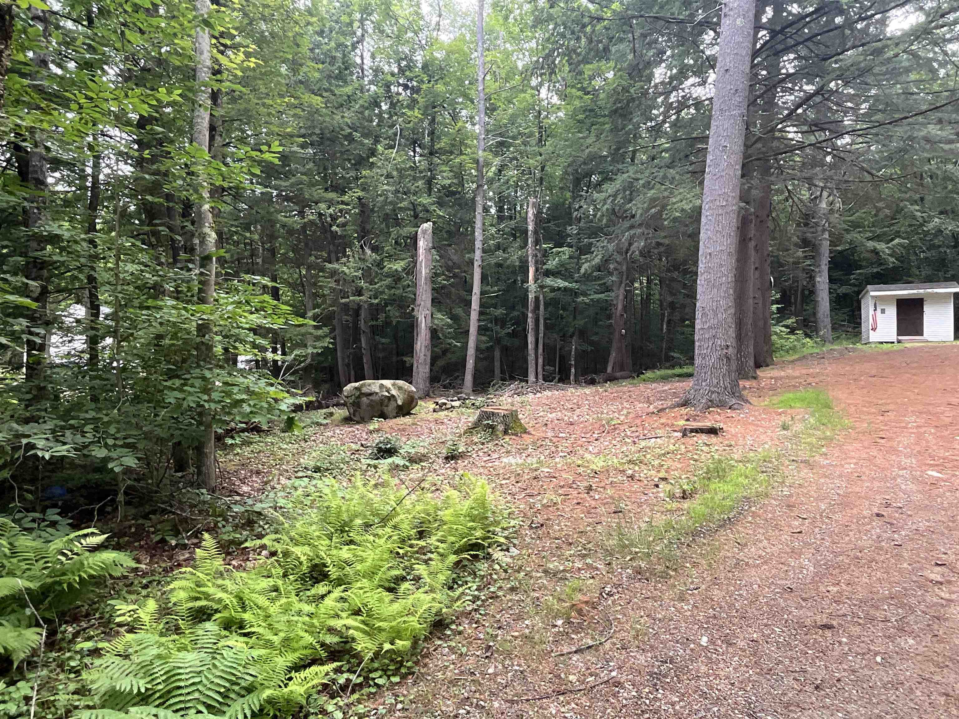 60 White Birch Lane