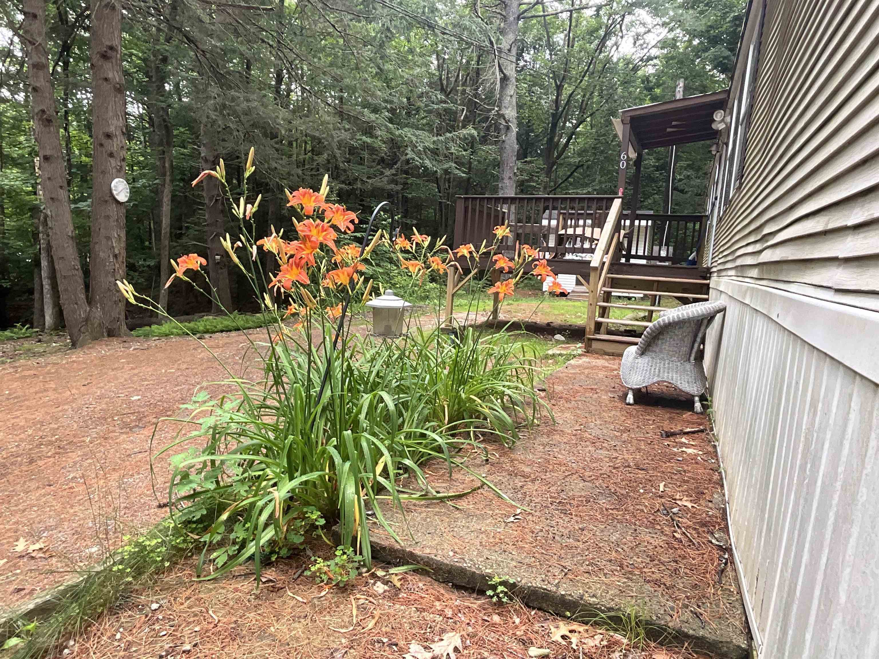 60 White Birch Lane